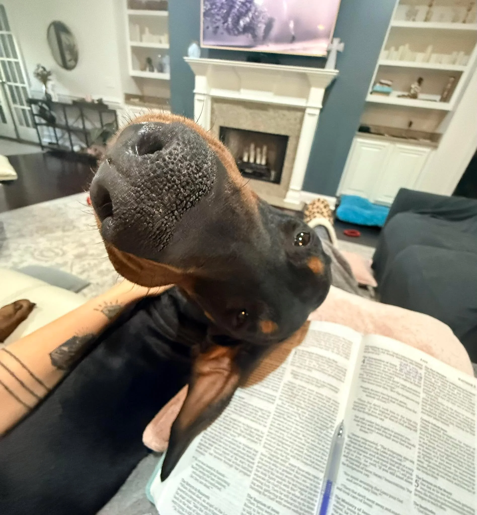 Started a book today called &ldquo;Practicing the Way: Be with Jesus&rdquo; and what a tremendous reminder of what and who we are meant to be.

I&rsquo;m missing small group due to stomach troubles, but I didn&rsquo;t want to miss out on the spiritua