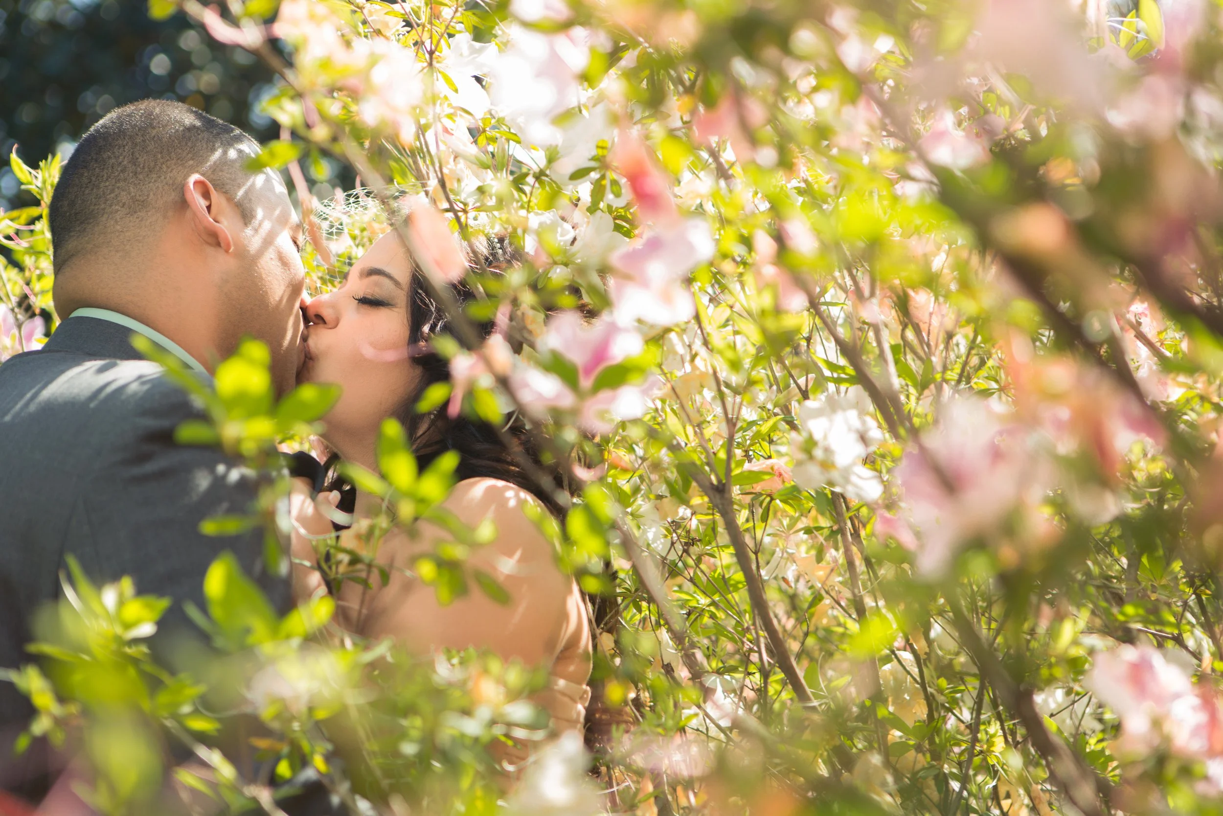 A couple kissing among blooming pink and white flowers on a sunny day.