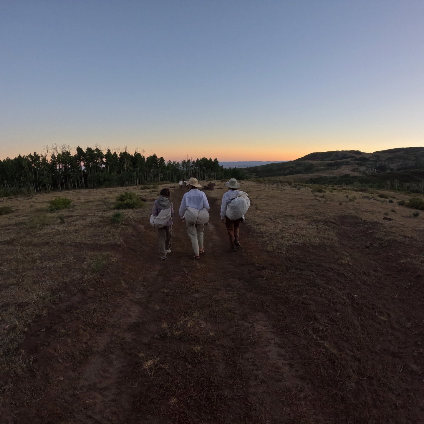 Expedition with BOSS (Boulder Outdoor Survivial School). I'm still processing this experience from last summer in which I did an immersive Field Expedition in the Grand Staircase-Escalante National Monument wilderness. We walked (far!) through some o