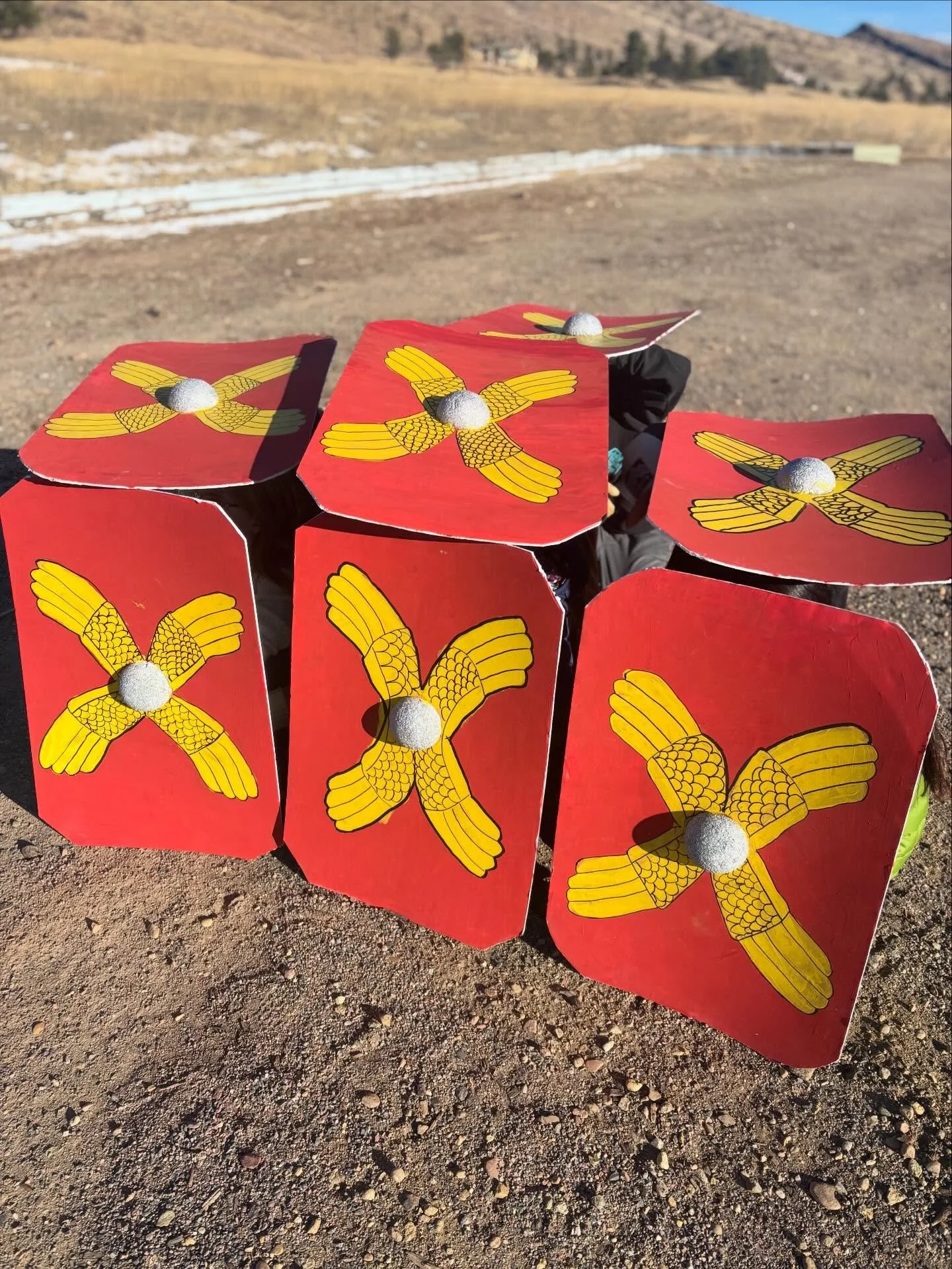 Ancient Roman History Block.  The study of Rome is introduced to students 11-12 years of age. The study of Rome follows the study of ancient civilizations and Greek mythology.  By Grade 6, students are entering early adolescence, and are becoming mor