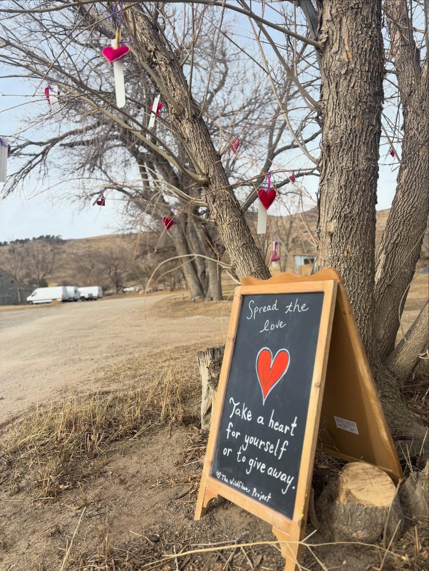 Practicing making things to give away. Students have been busy working hard and hand sewing beautiful wool hearts to give away to whoever might be in need of some warmth. &ldquo;Love what you love more than you hate what you hate&rdquo;- my wise teac