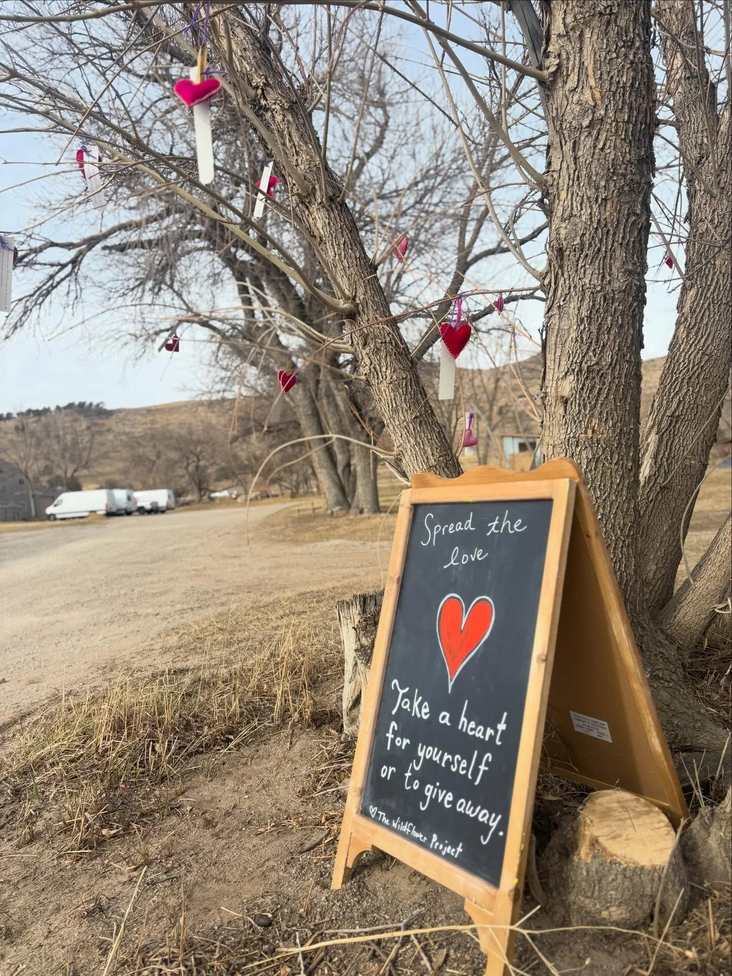 Practicing making things to give away. Students have been busy working hard and hand sewing beautiful wool hearts to give away to whoever might be in need of some warmth. &ldquo;Love what you love more than you hate what you hate&rdquo;- my wise teac
