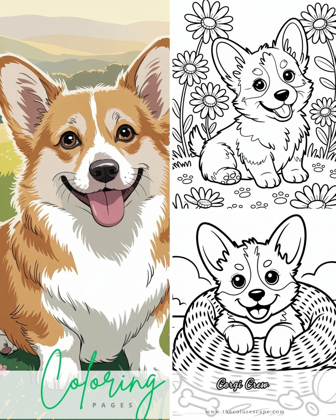 ✨ Meet your next coloring buddy &mdash; the cutest little Corgis ever! These charming pups are surrounded by flowers and full of joy, making them the perfect companions for a cozy coloring session. Great for dog lovers, kids, and anyone who needs a l