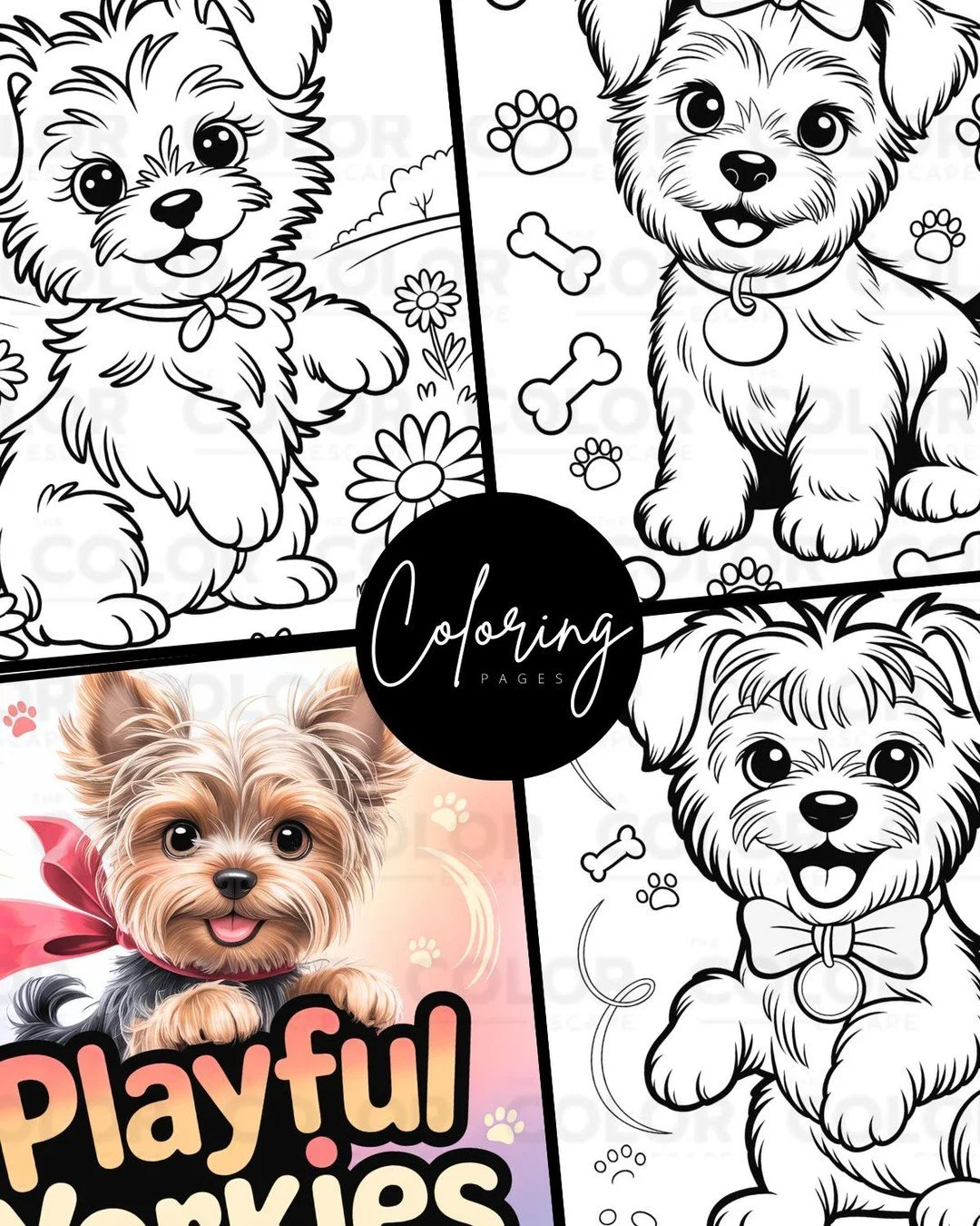 Big personality, small paws 🐾✨&mdash;our Yorkie Coloring Pages are here to steal your heart! Perfect for Yorkie lovers, kids, and anyone who adores these fluffy little charmers. Download, print, and color your own Yorkshire Terrier today! 🎨🐶 

htt