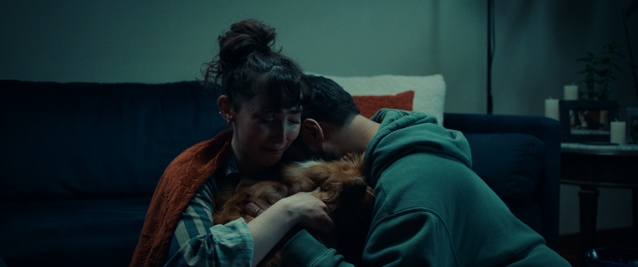 DOGMOM V1_1.181.1.png