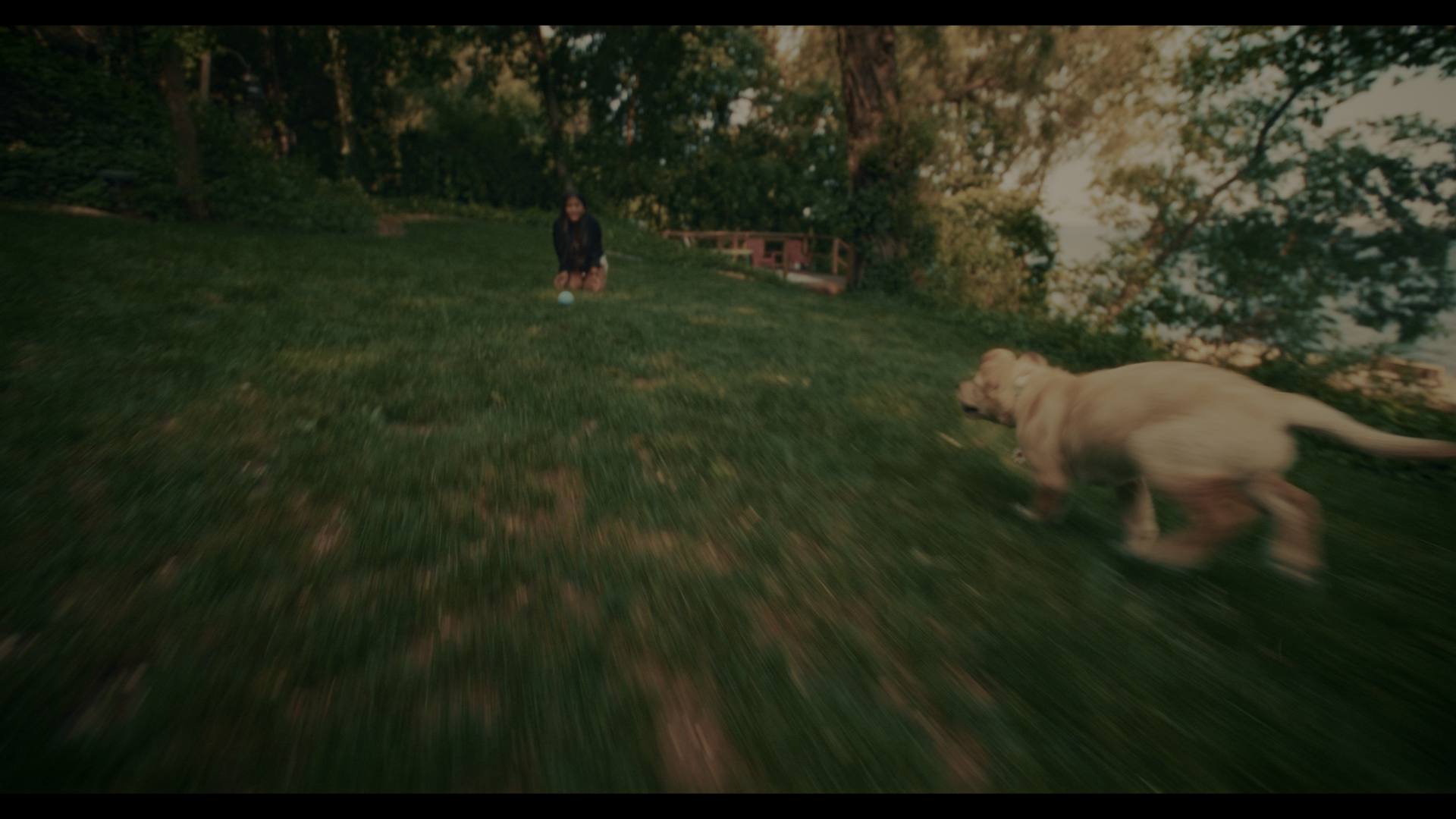 FURBLE_1.45.2.png