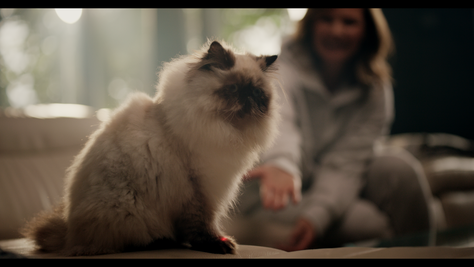 FURBLE2_1.4.1.png
