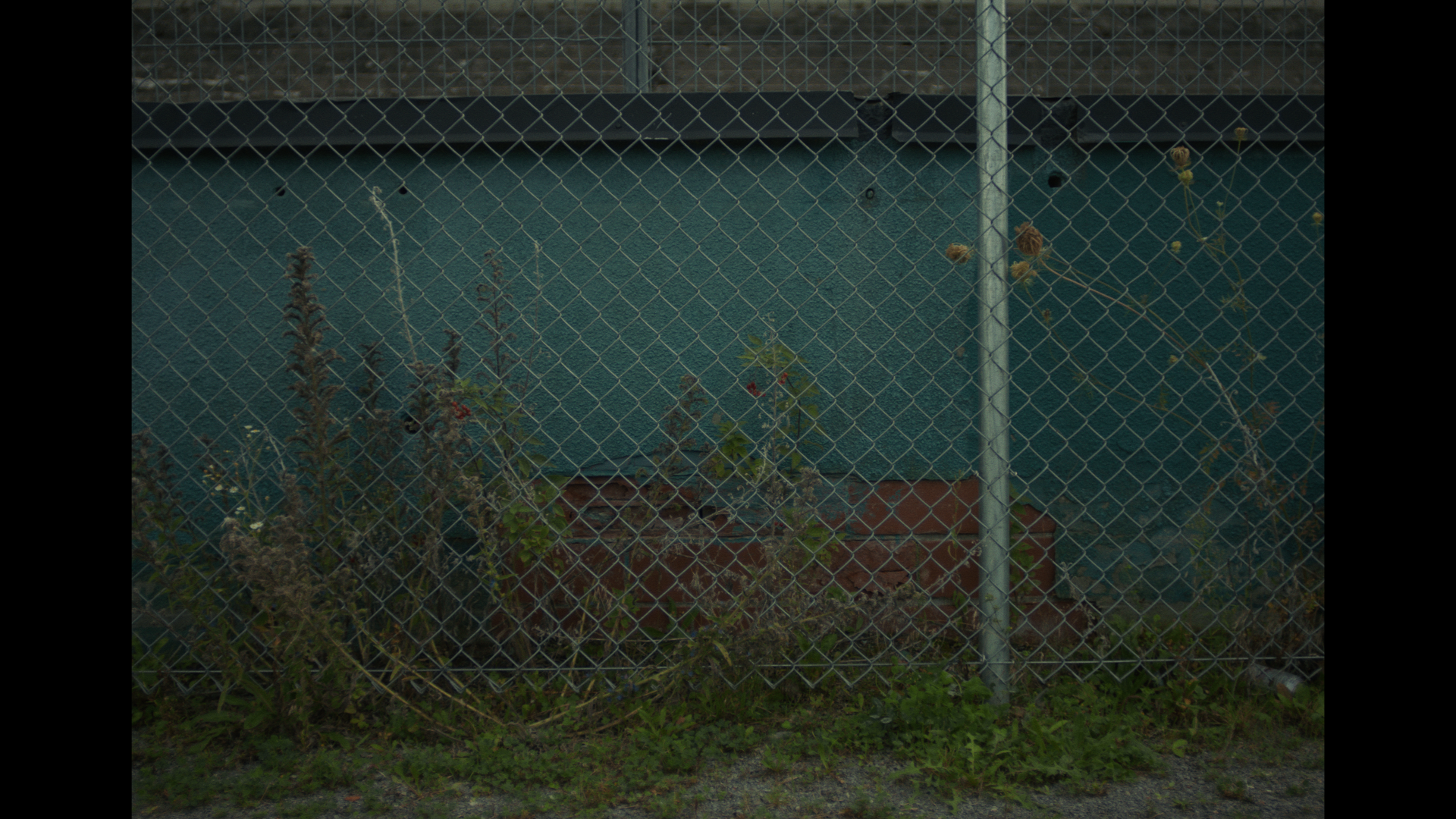 BELLEVILLE V1_1.80.1.png