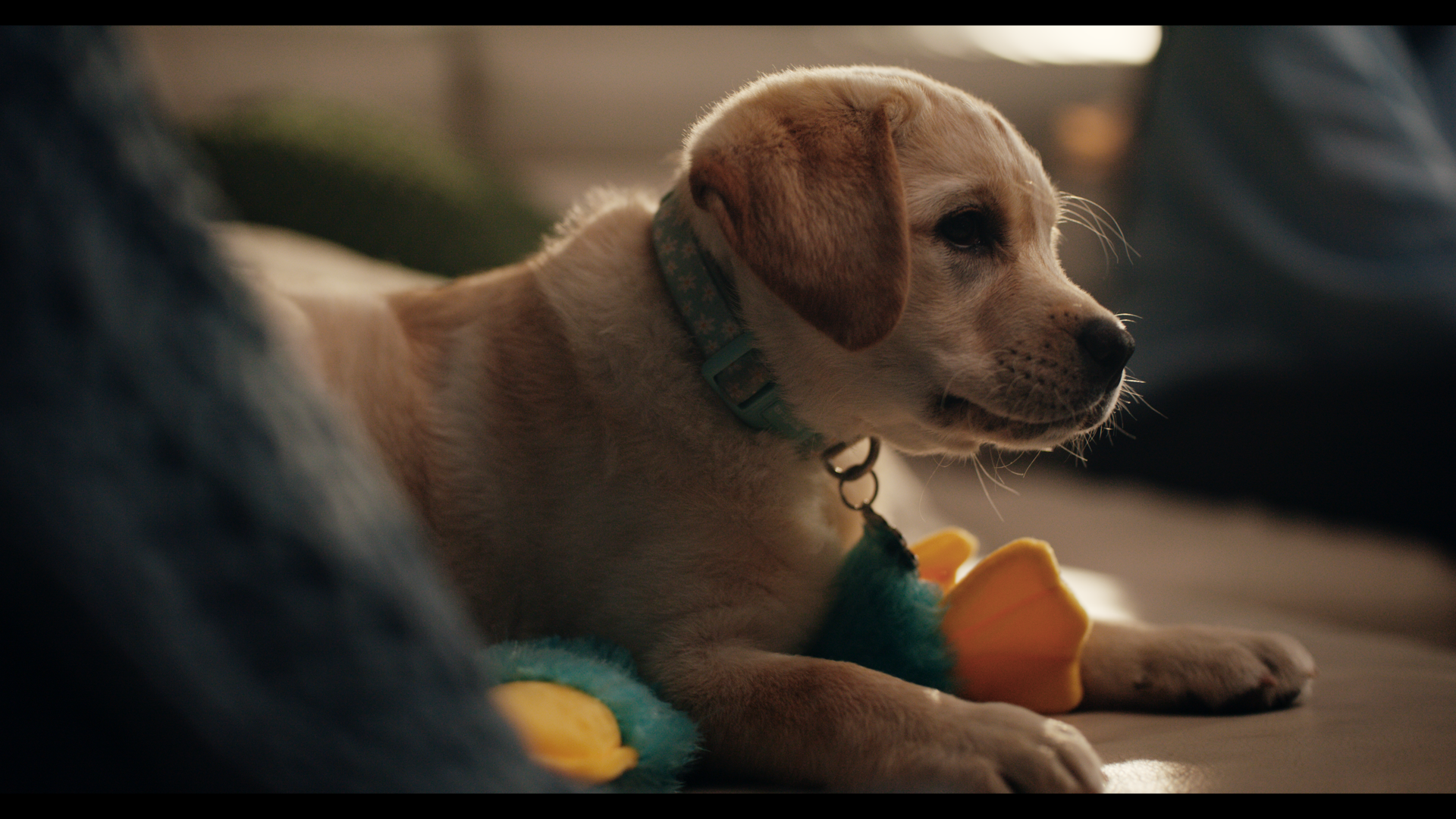 FURBLE_1.22.1.png