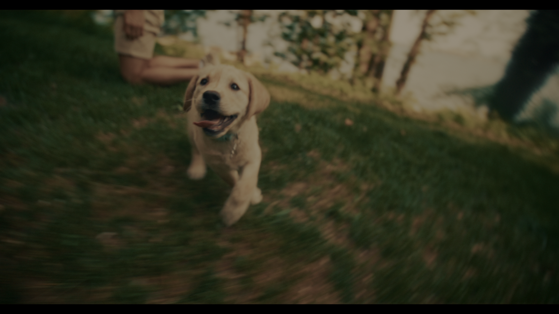 FURBLE_1.10.1 2.png