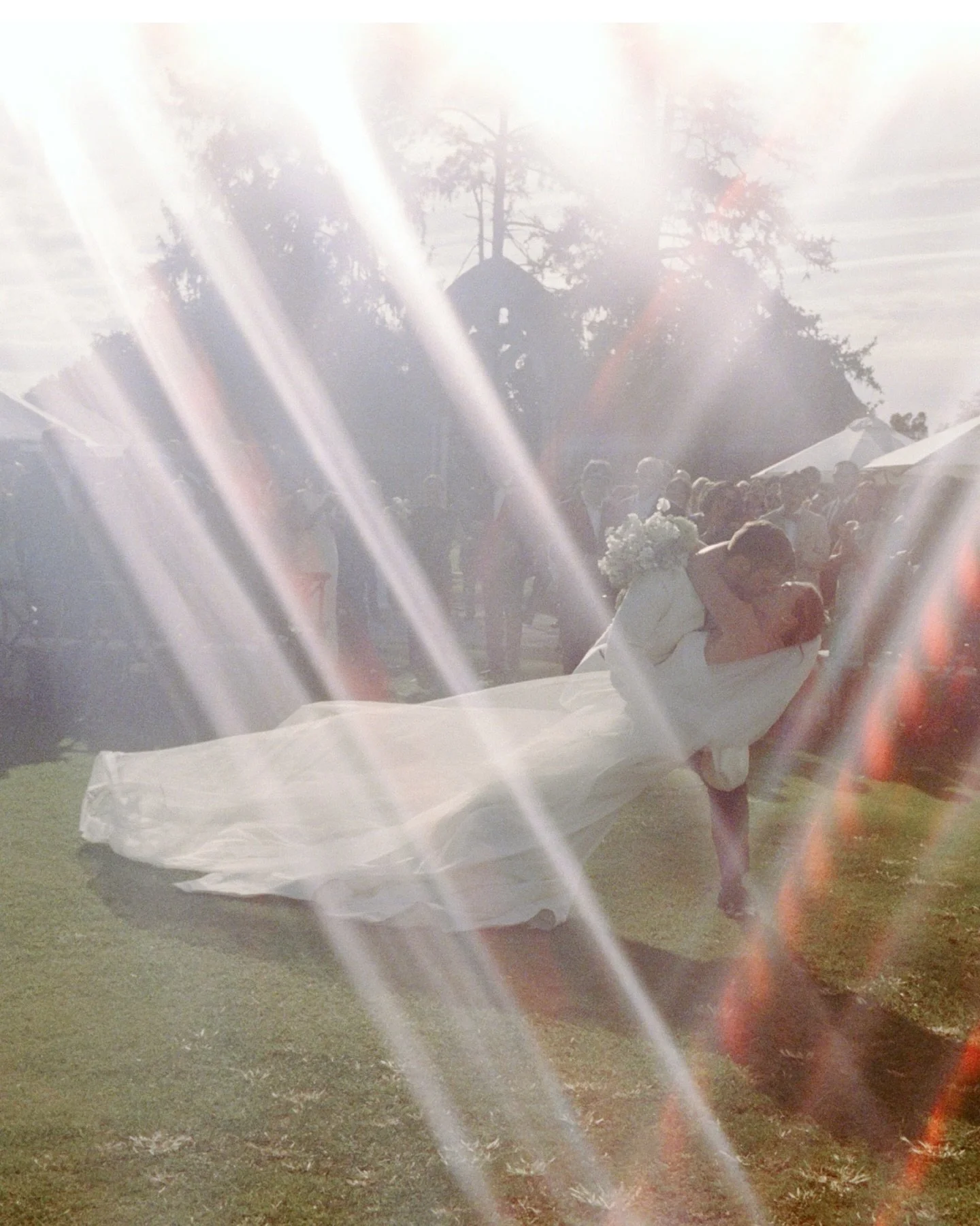 Kentucky summers on film &mdash; and it&rsquo;s almost that time again. 
☀️🎞️