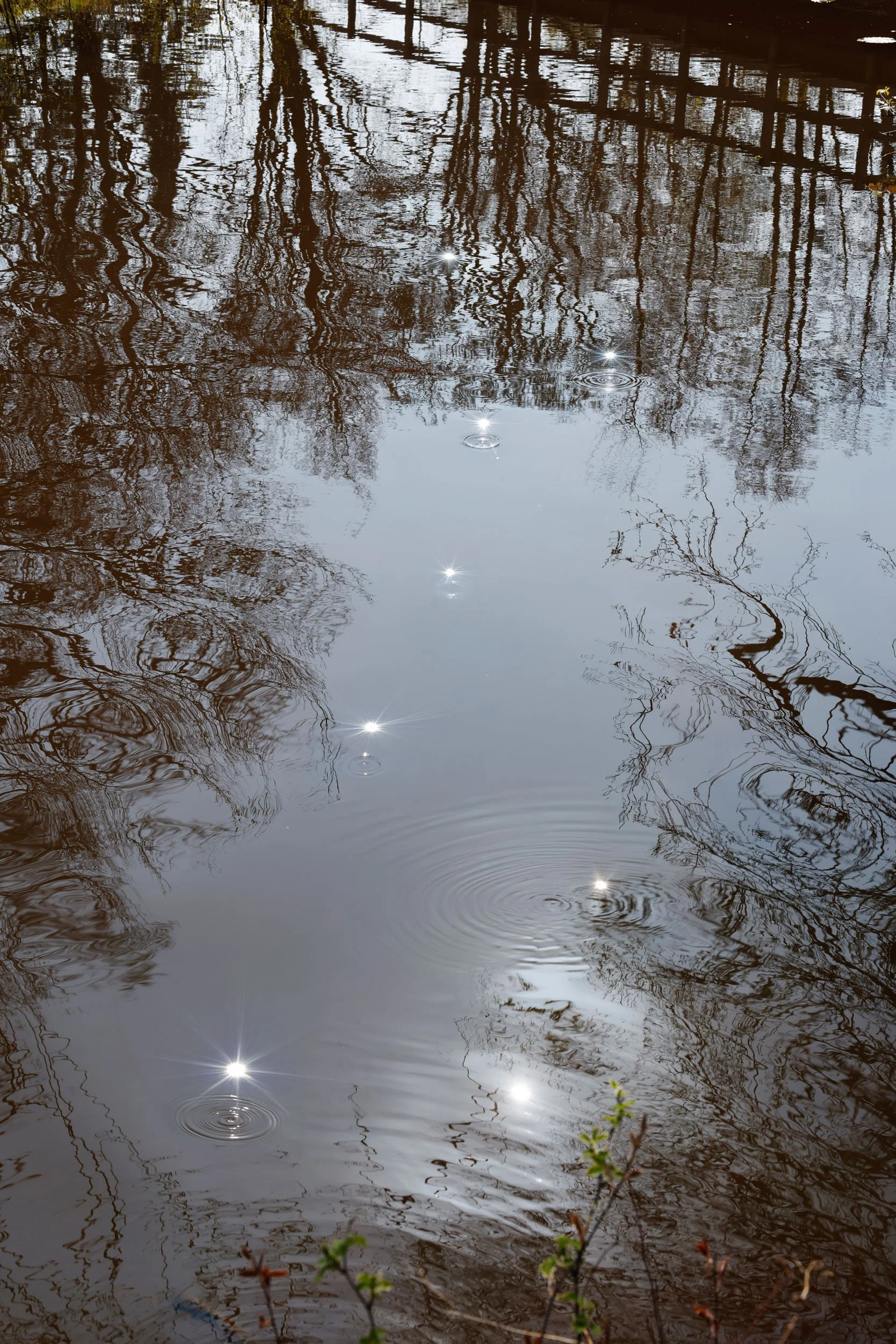 Surhuisterveen, the Netherlands (2026).