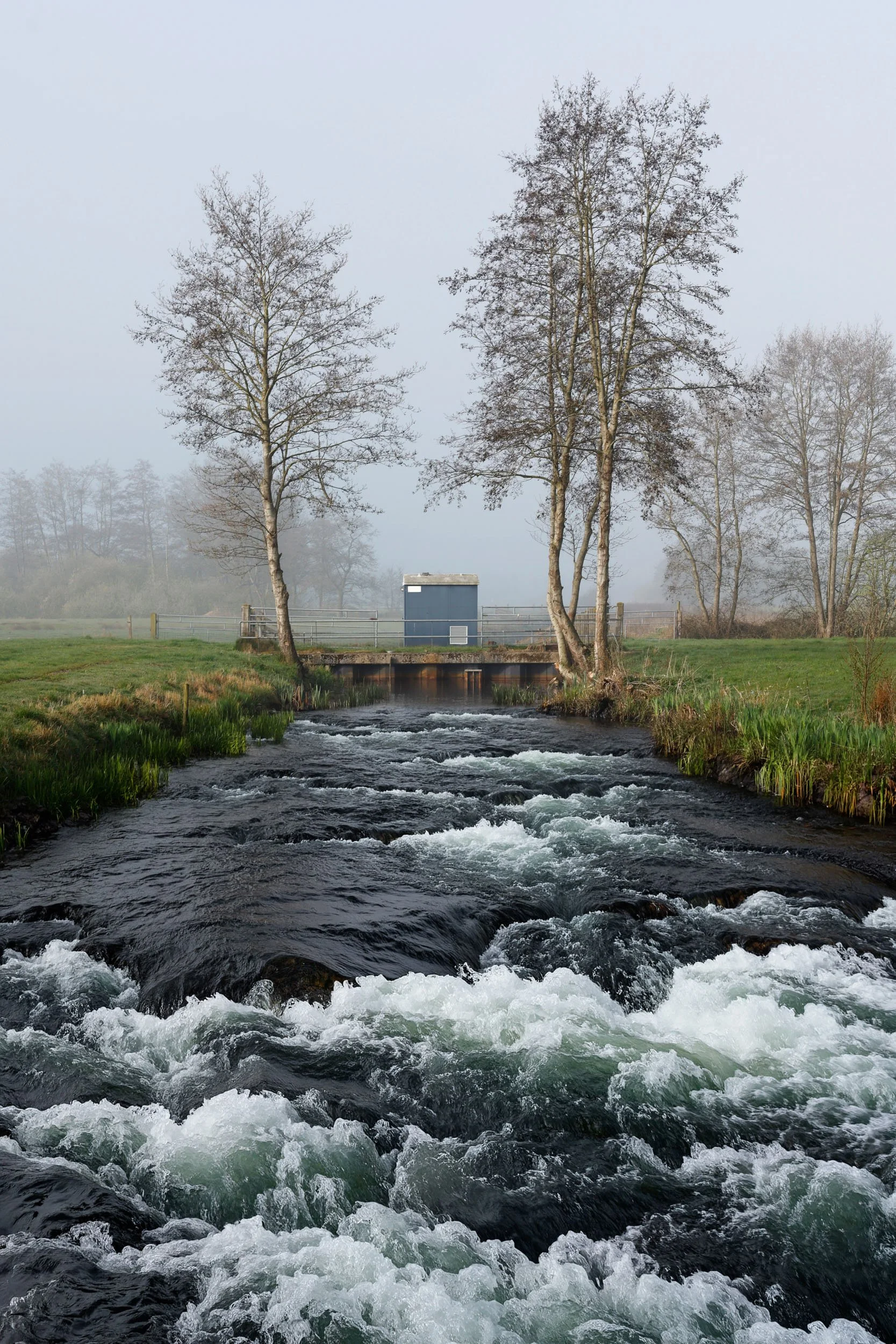 Surhuisterveen (2026).