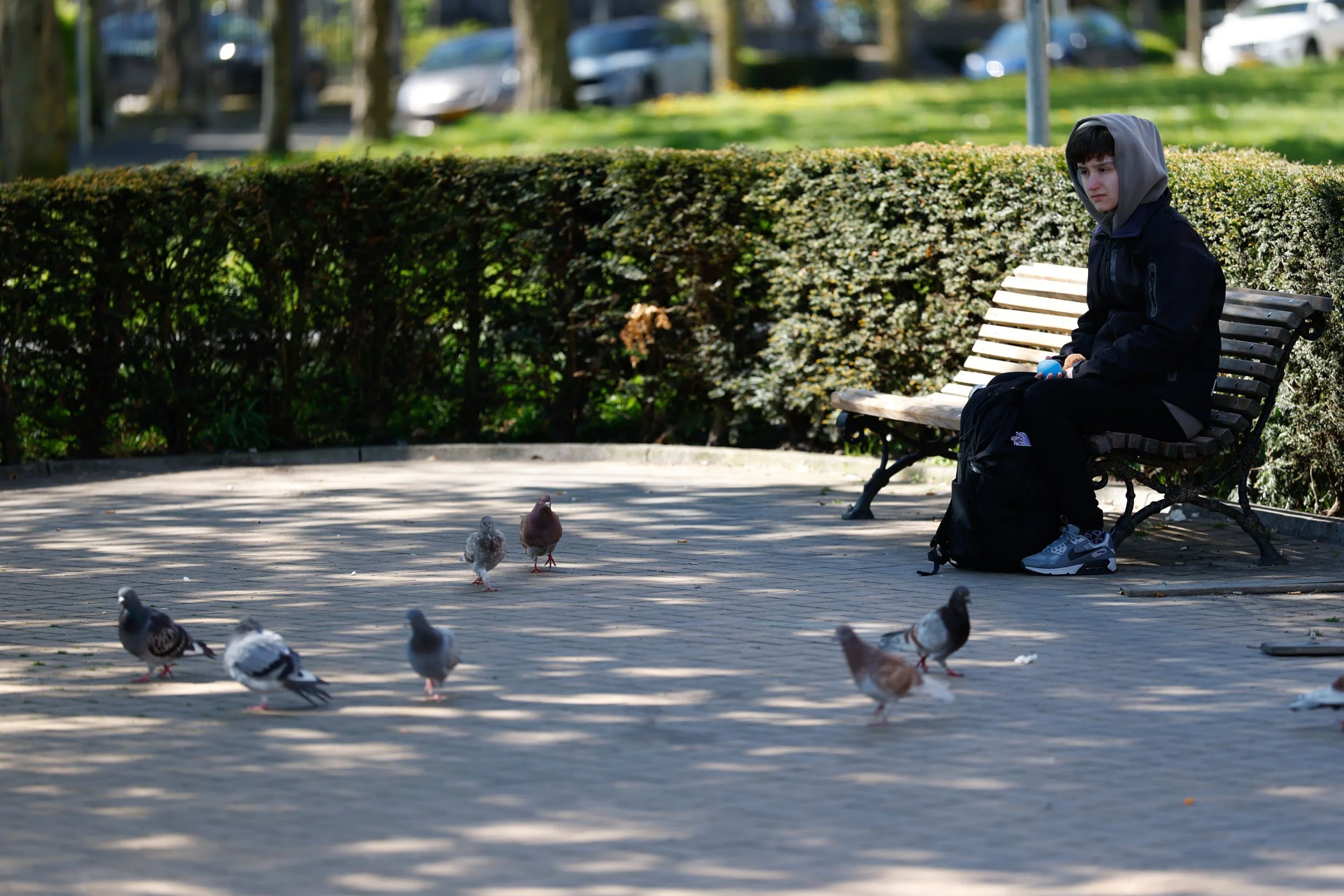 Eat that frog, eat that frog.