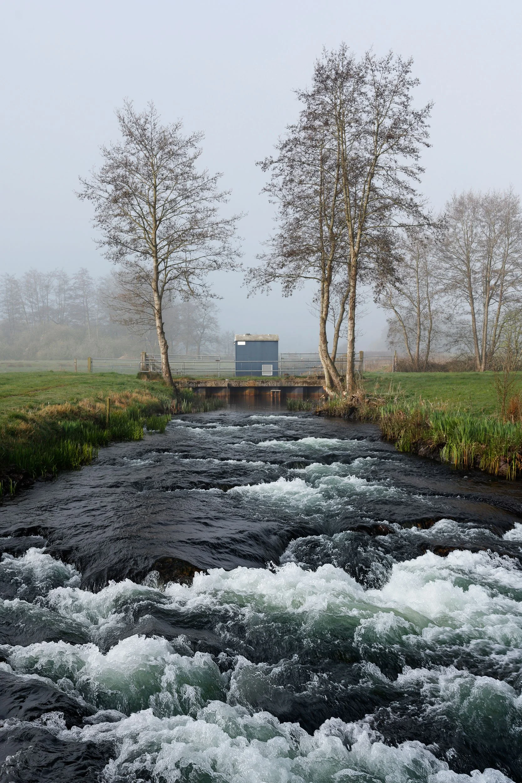 Surhuisterveen, the Netherlands (2026).