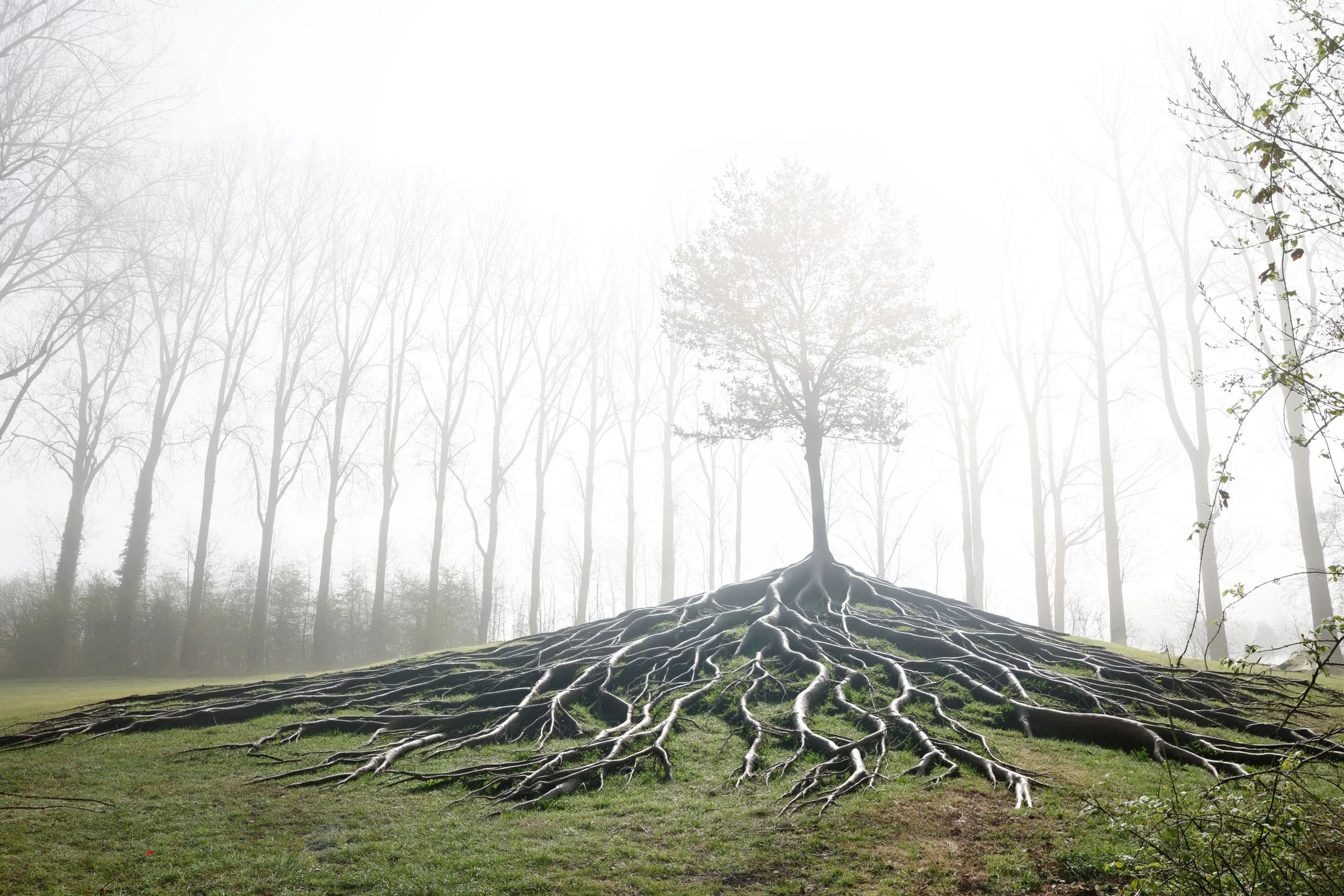 Surhuisterveen, the Netherlands (2026).