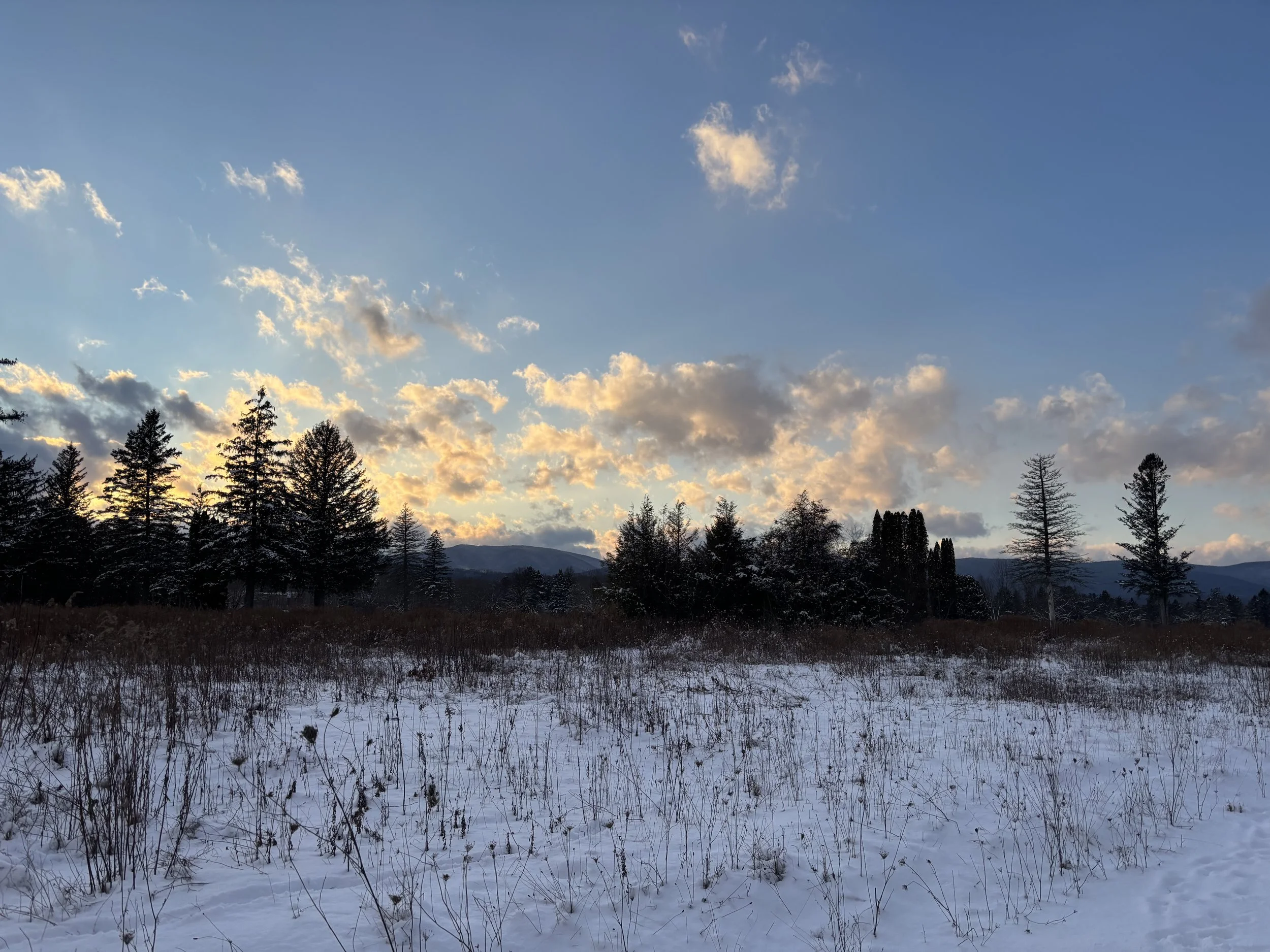 Welcoming Winter