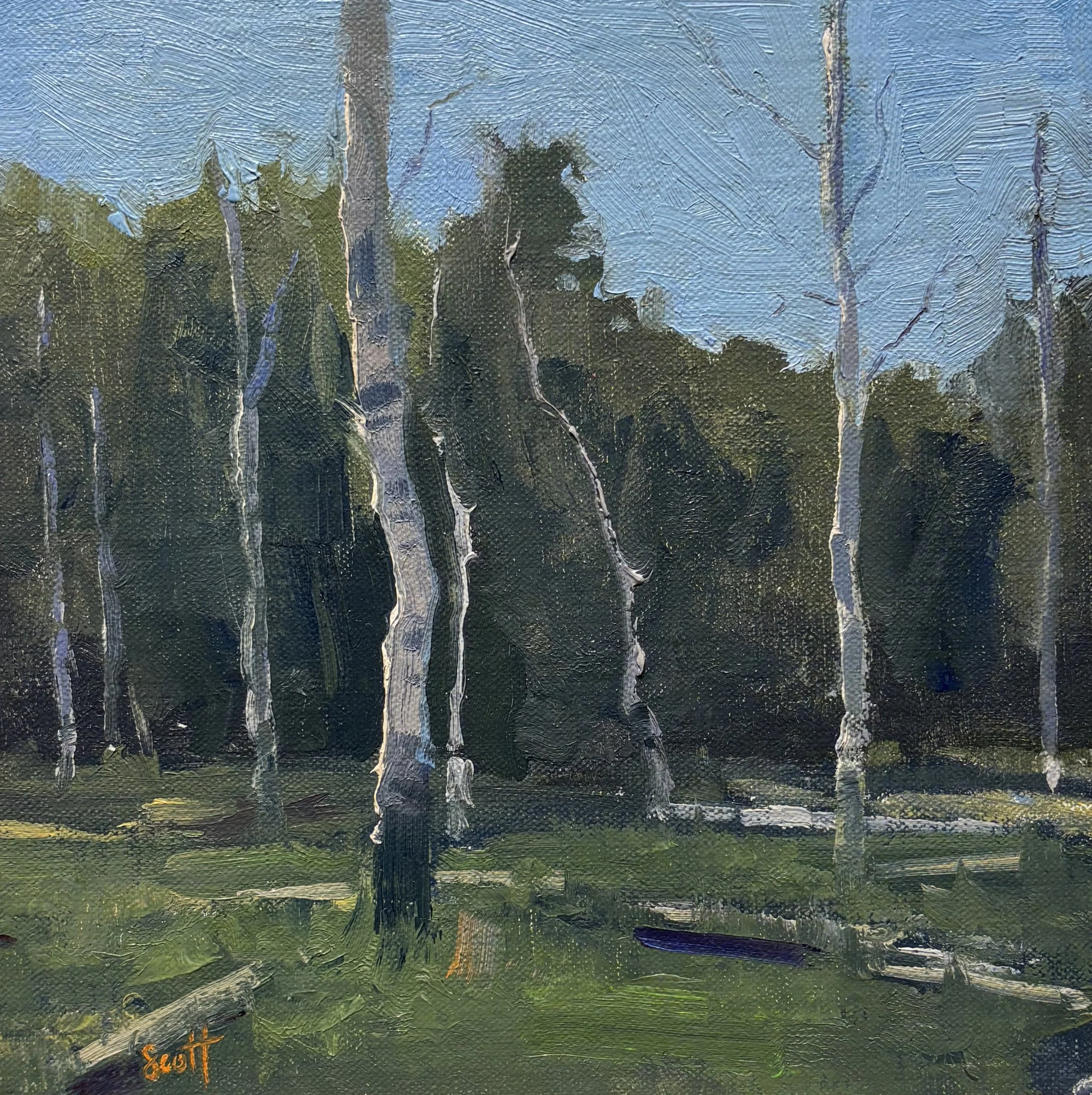Aspens_8x8.jpg