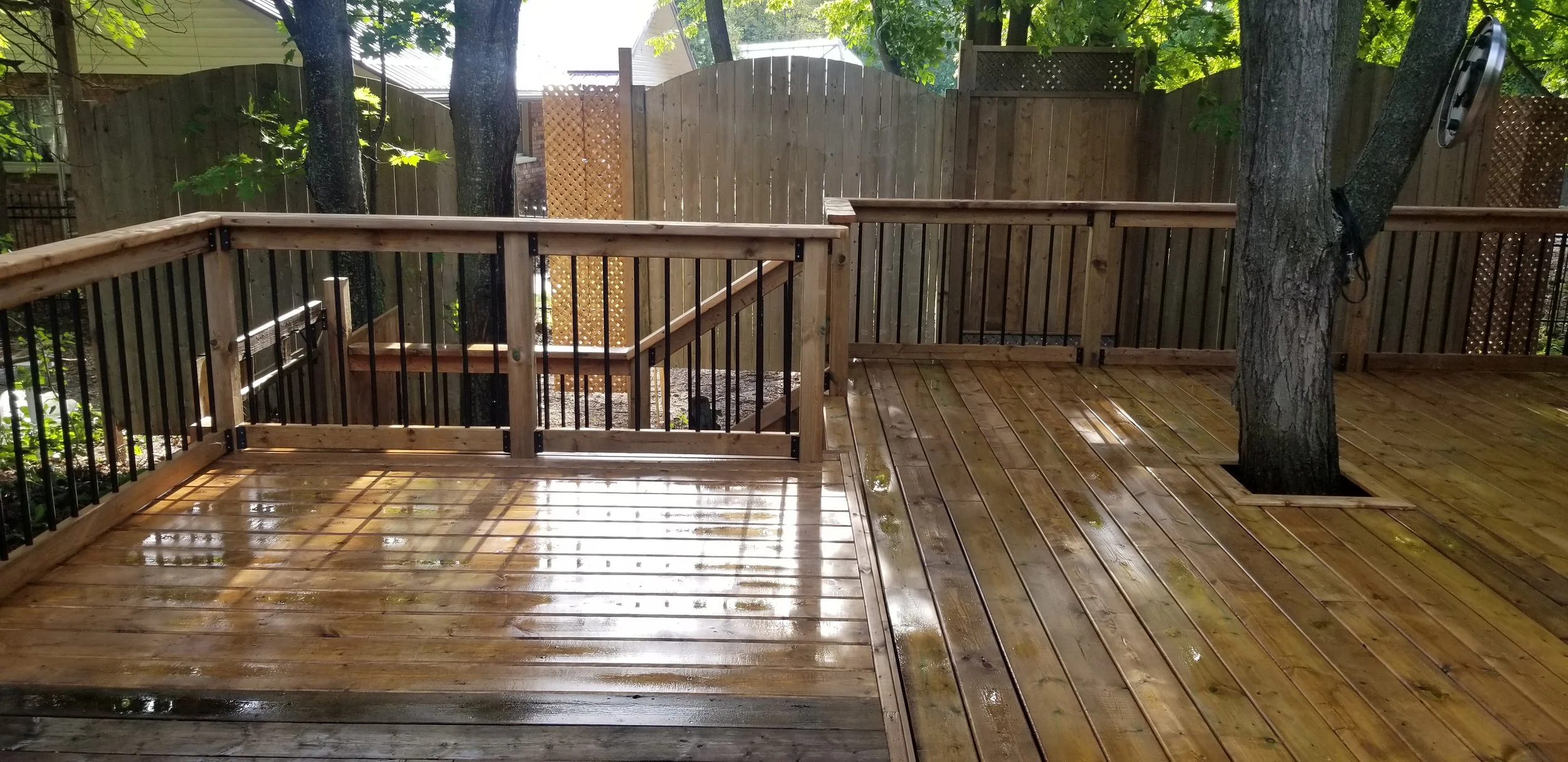 20200901_171634.jpg
