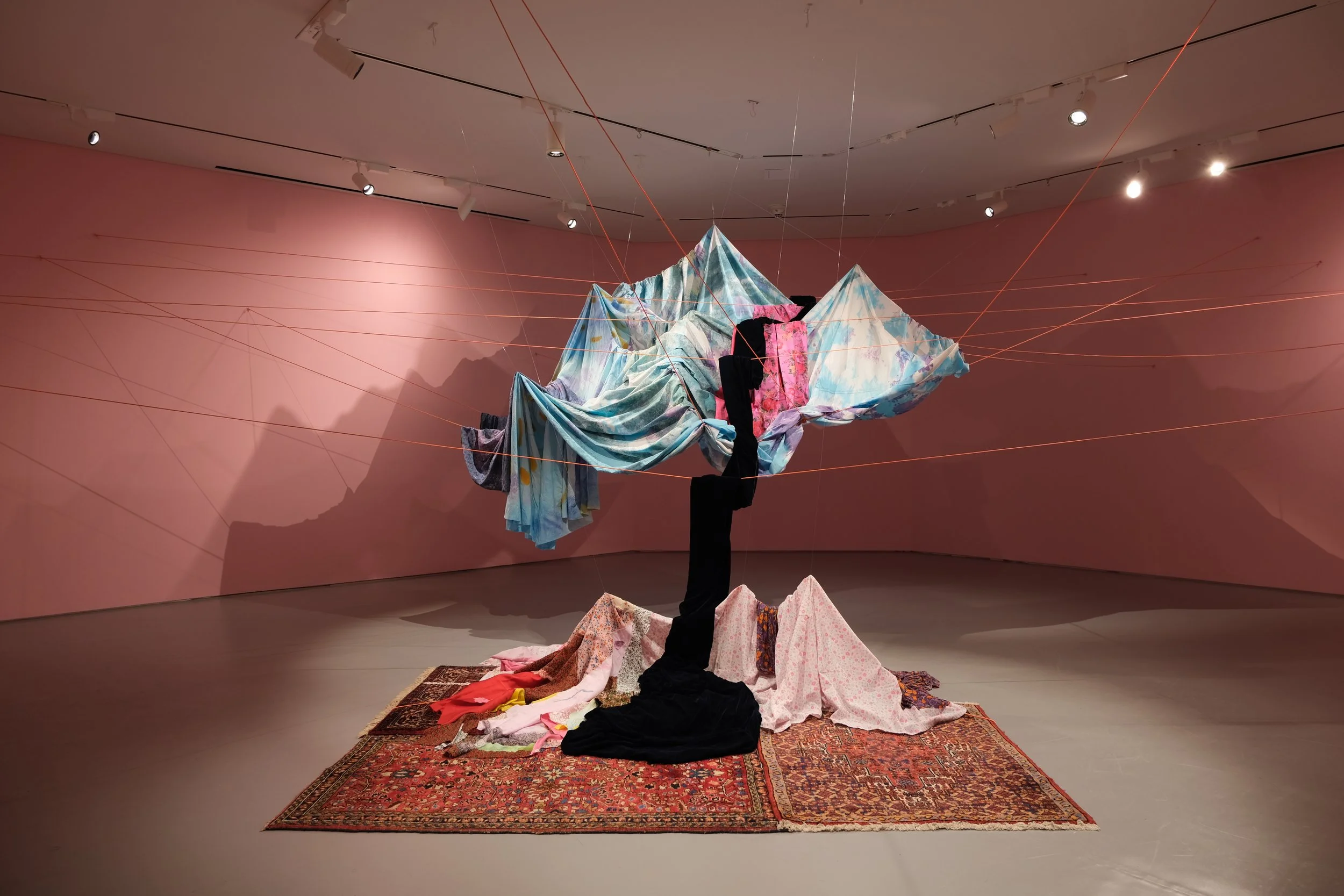 A Velvet River: L.P.I.&nbsp;on Leila Seyedzadeh