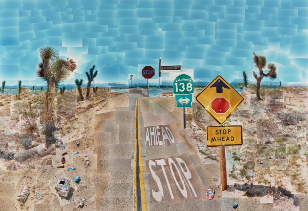 Chris Wells on David Hockney