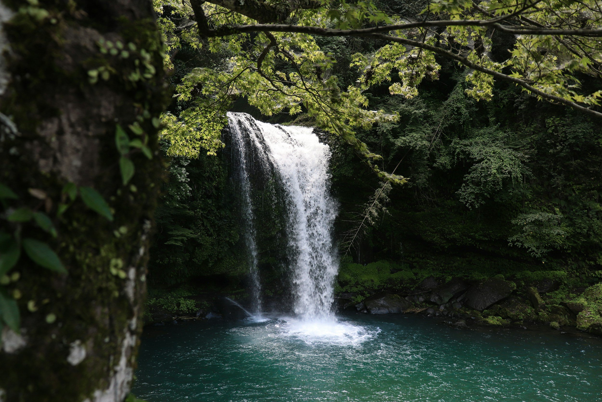 Living Water