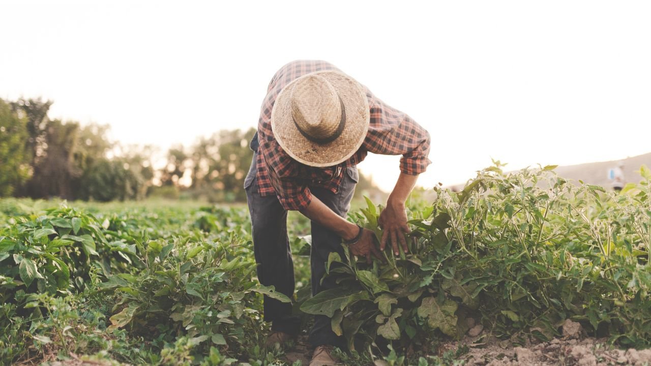 Do Good Works Play a Role in Our Salvation?
