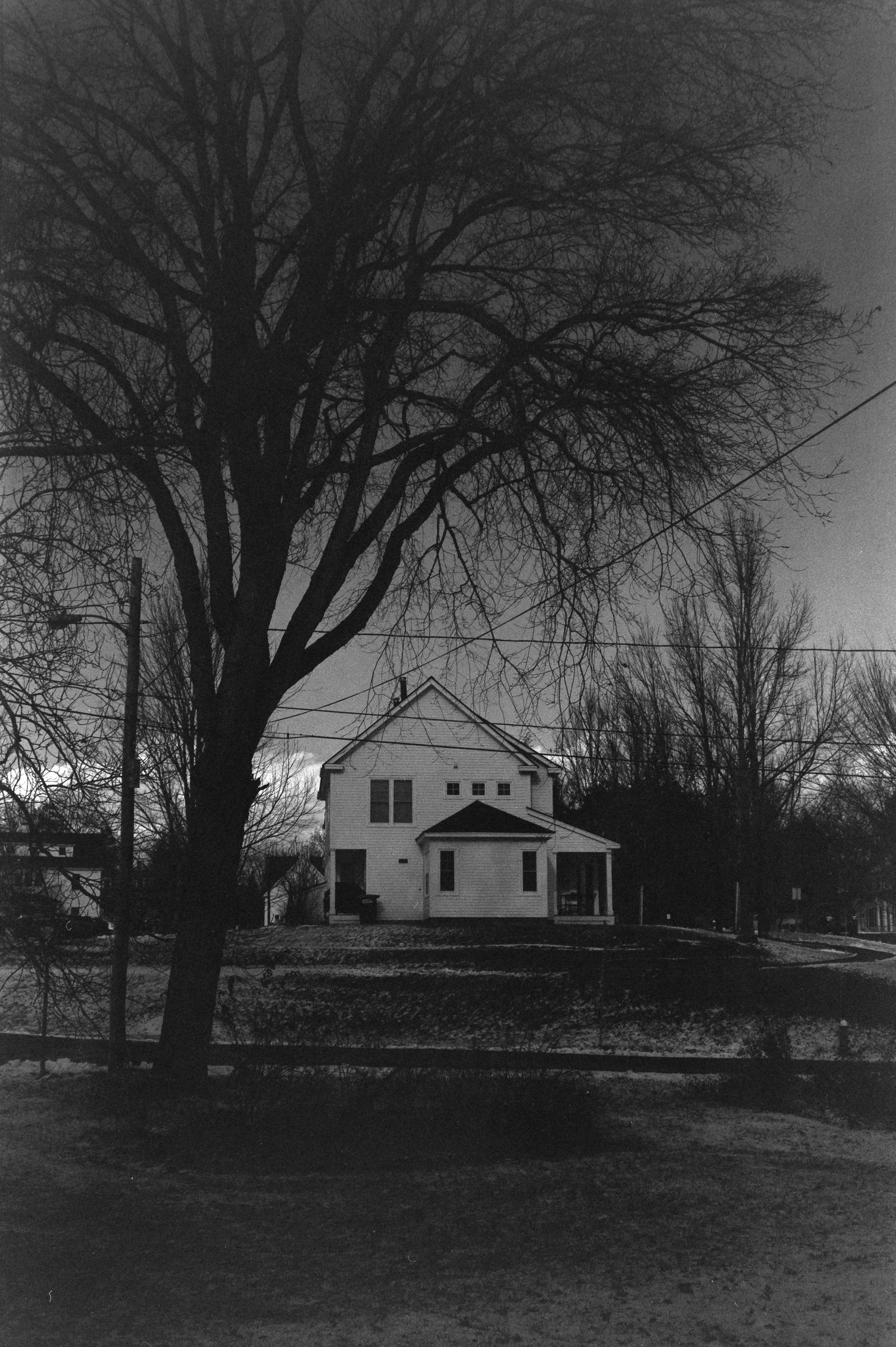 iLA Film Lab & Store-8708.JPG