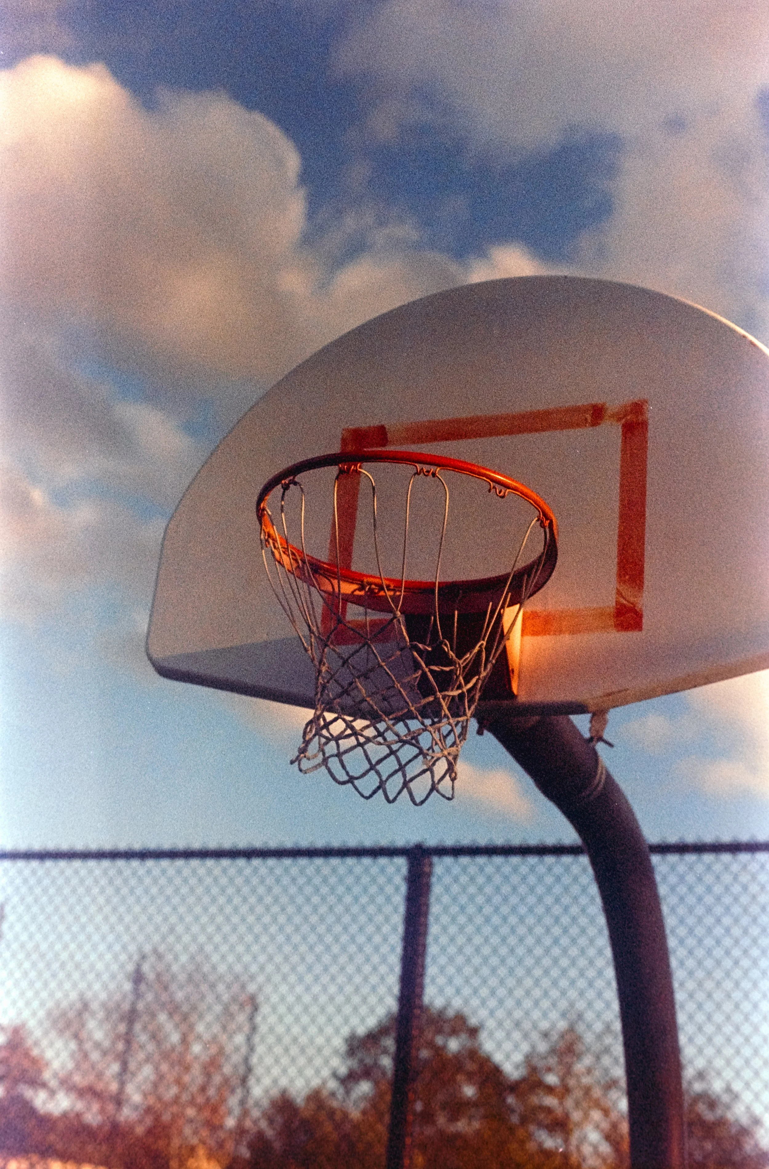 iLA Film Lab & Store-8670.JPG