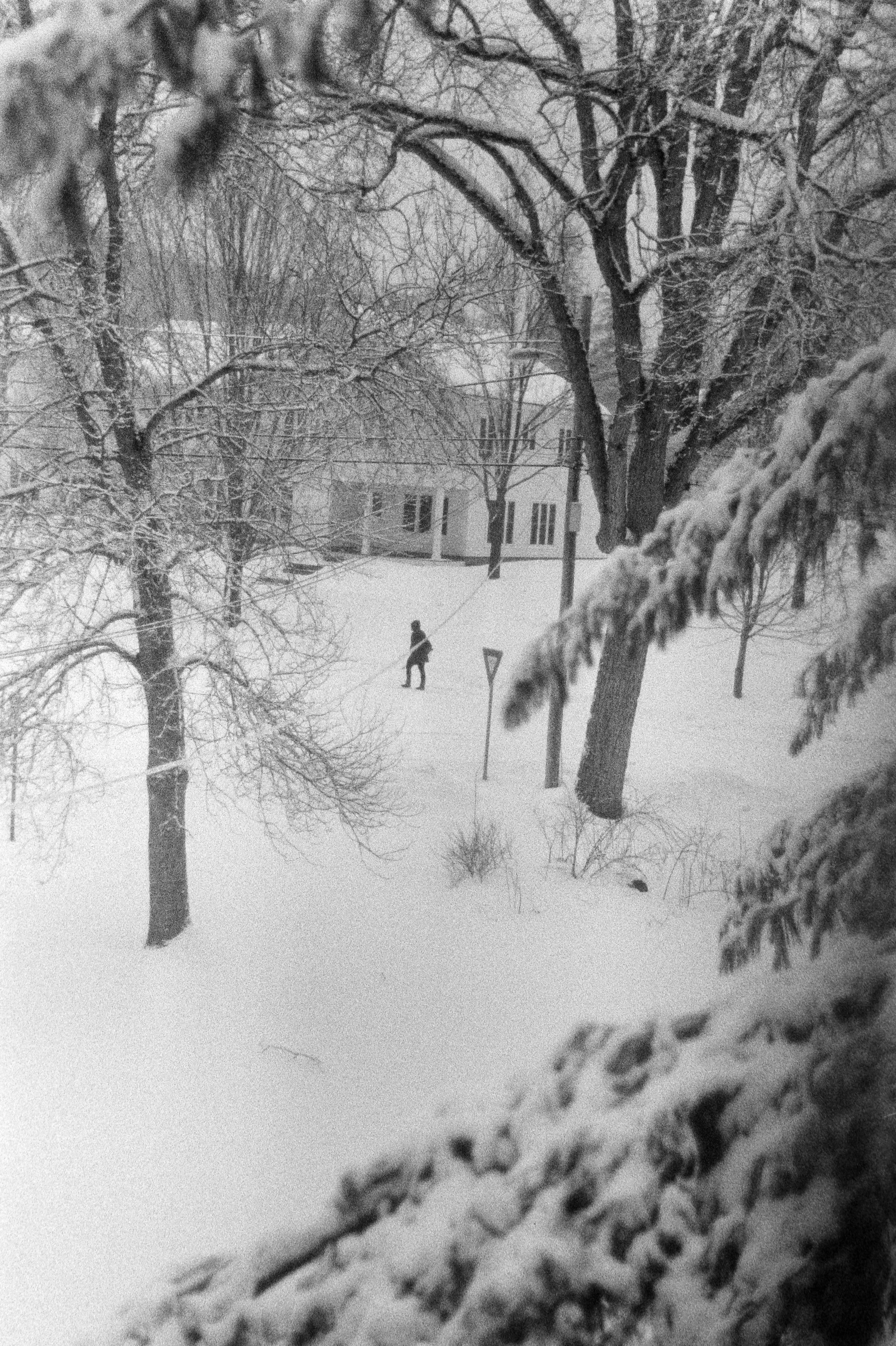 iLA Film Lab & Store-8783.JPG