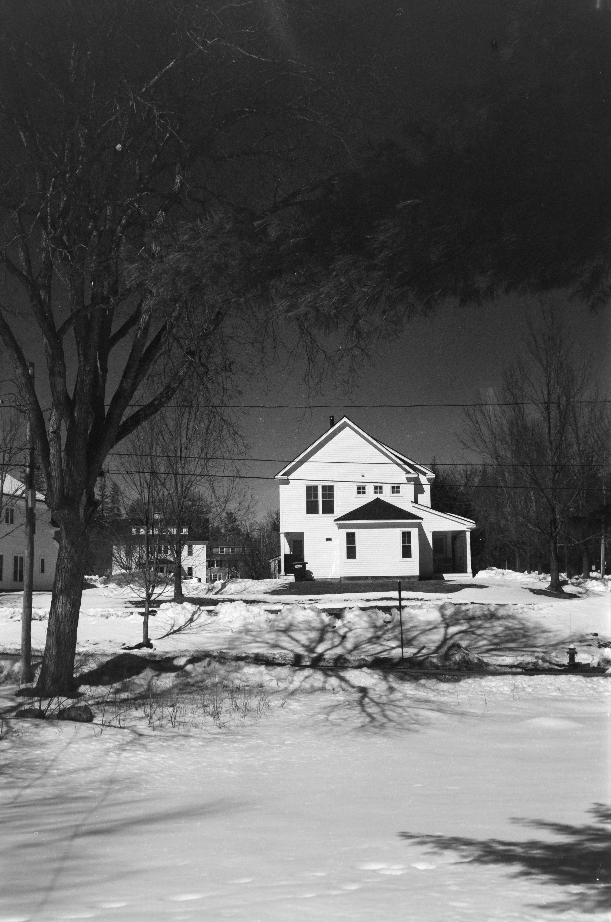 iLA Film Lab & Store-8699.JPG