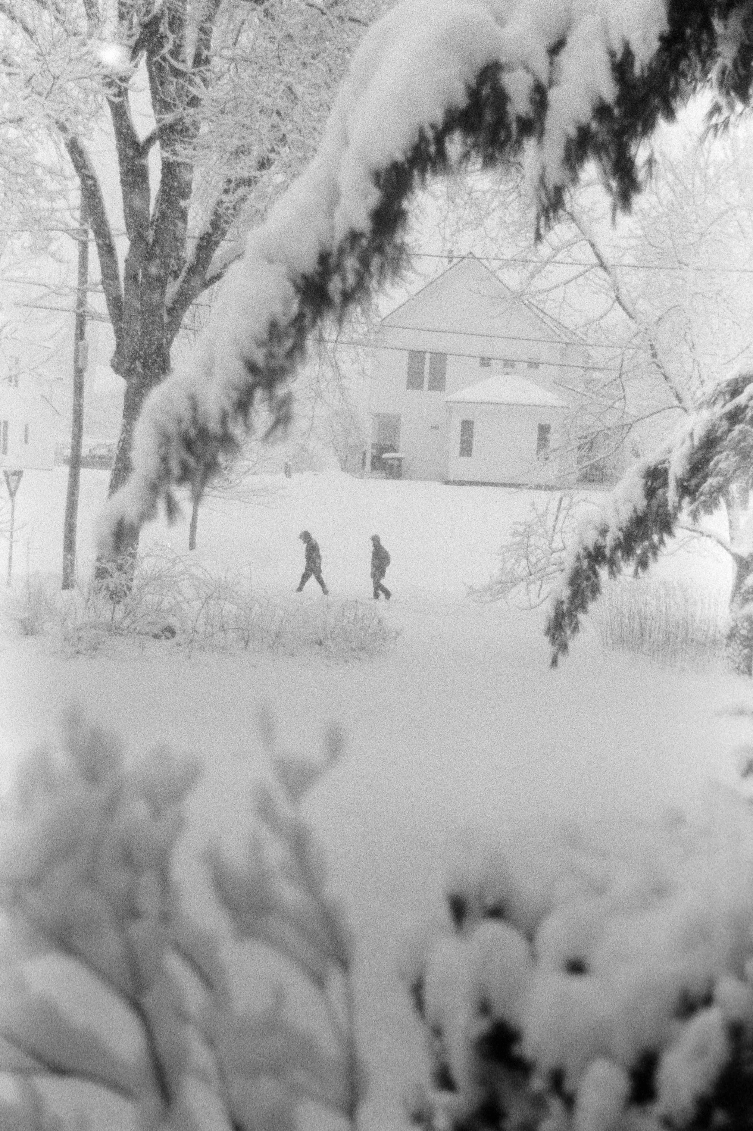 iLA Film Lab & Store-8784.JPG