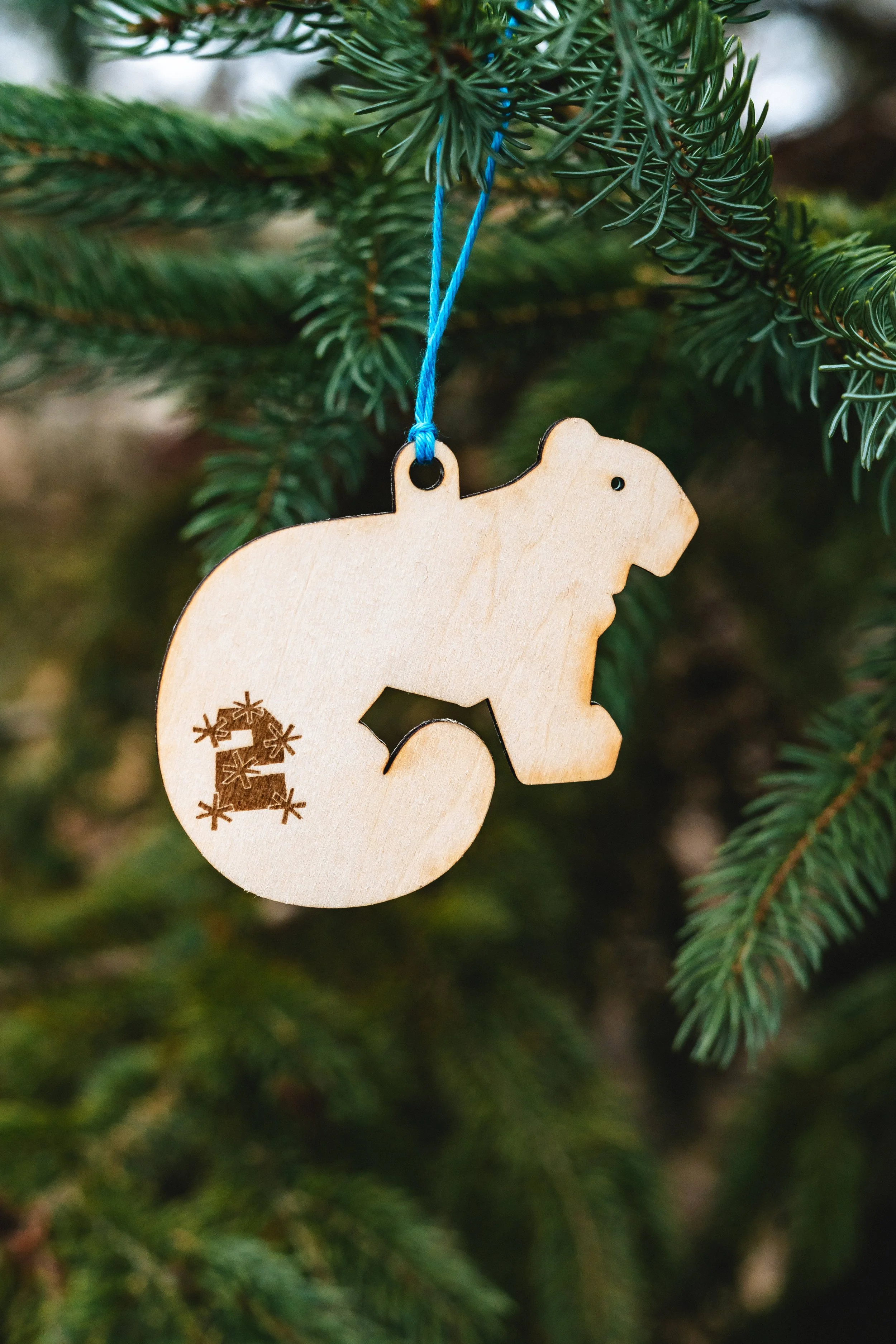 Charlie James Photo - terrible tews ornaments-9.jpg