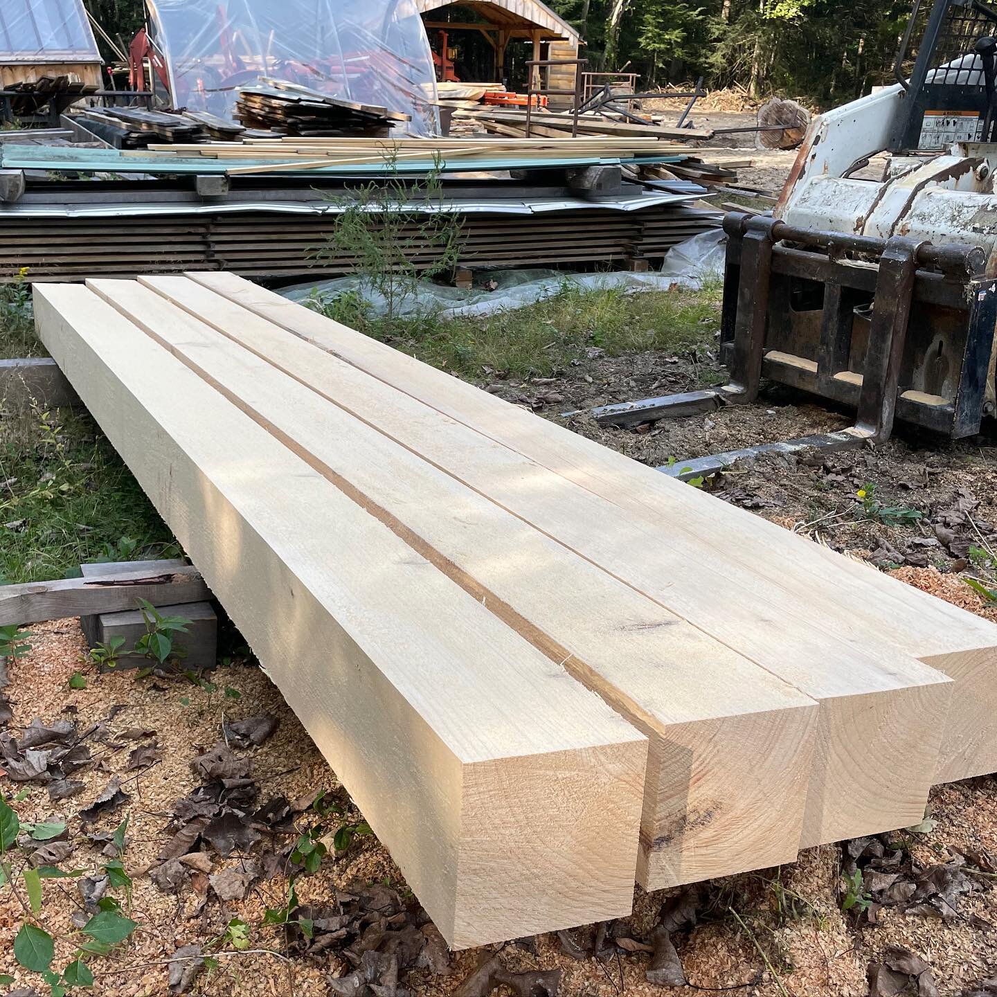 The sawyer, Nate, sent me a few pictures of timber we&rsquo;ll use for our next project. I&rsquo;m salivating.