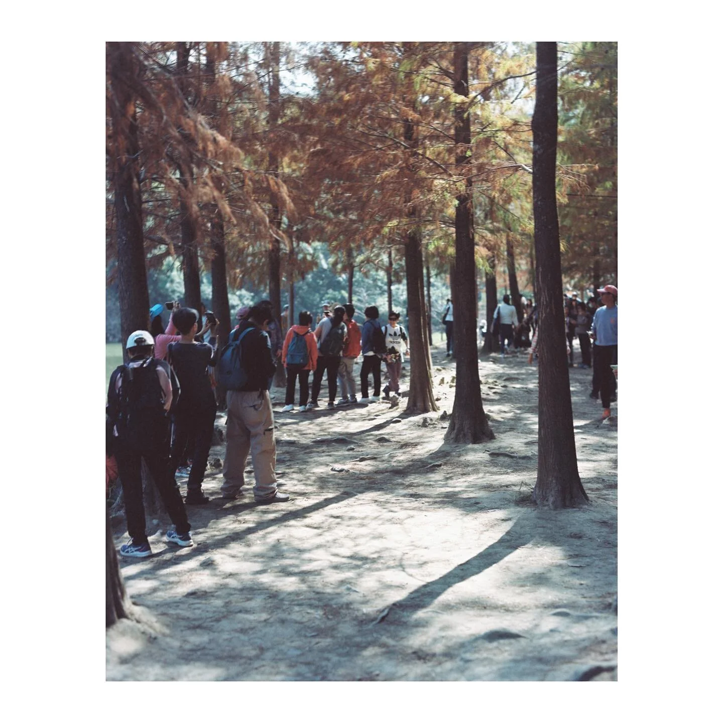 Pentax 6x7 MLU
Pentax Takumar 105mm/f2.4
Kodak Portra 160 +1
D&amp;S: @photogoldenhk

#nature #naturephotography #filmisnotdead #filmphotography #mediumformat #kodak #pentax #carlzeissjena #hongkong #localphotographer
