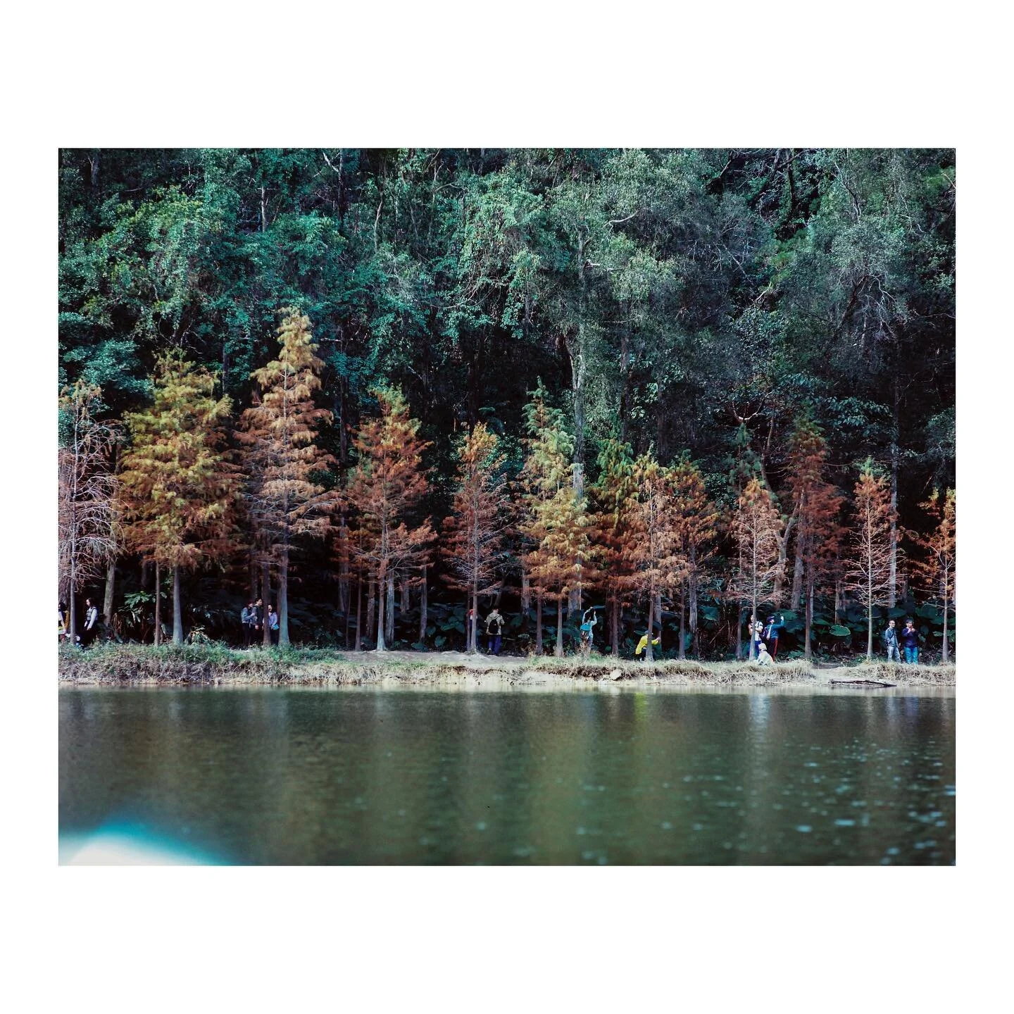Light leaks

Pentax 6x7 MLU
Carl Zeiss Jena Sonnar 180mm/f2.8
Kodak Ektar 100 +1
D&amp;S: @photogoldenhk

#nature #naturephotography #filmisnotdead #filmphotography #mediumformat #kodak #pentax #carlzeissjena #hongkong #localphotographer