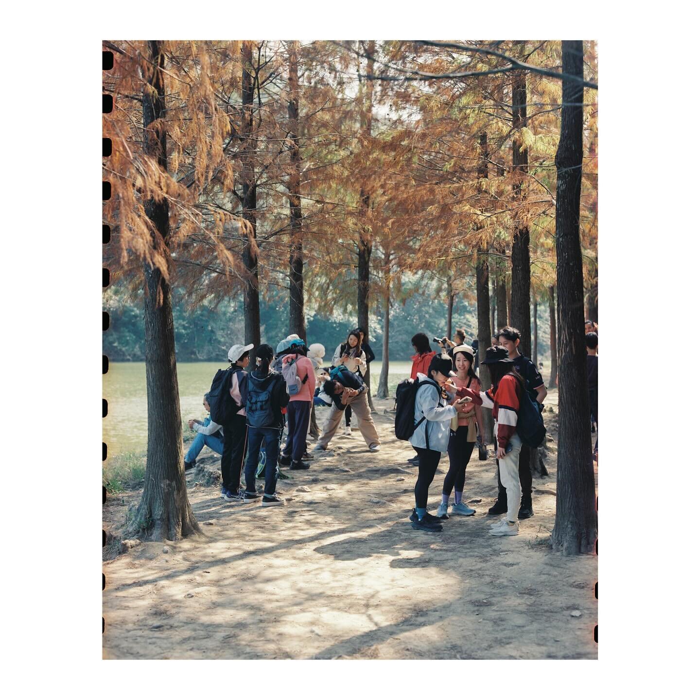 Pentax 6x7 MLU
Pentax Takumar 105mm f/2.4
Kodak Vision 3 250D
D&amp;S @photogoldenhk 

#naturephotography #filmisnotdead #filmphotography #kodak #kodakvision250d #pentax #pentax67 #mediumformat #localphotographer #hongkong