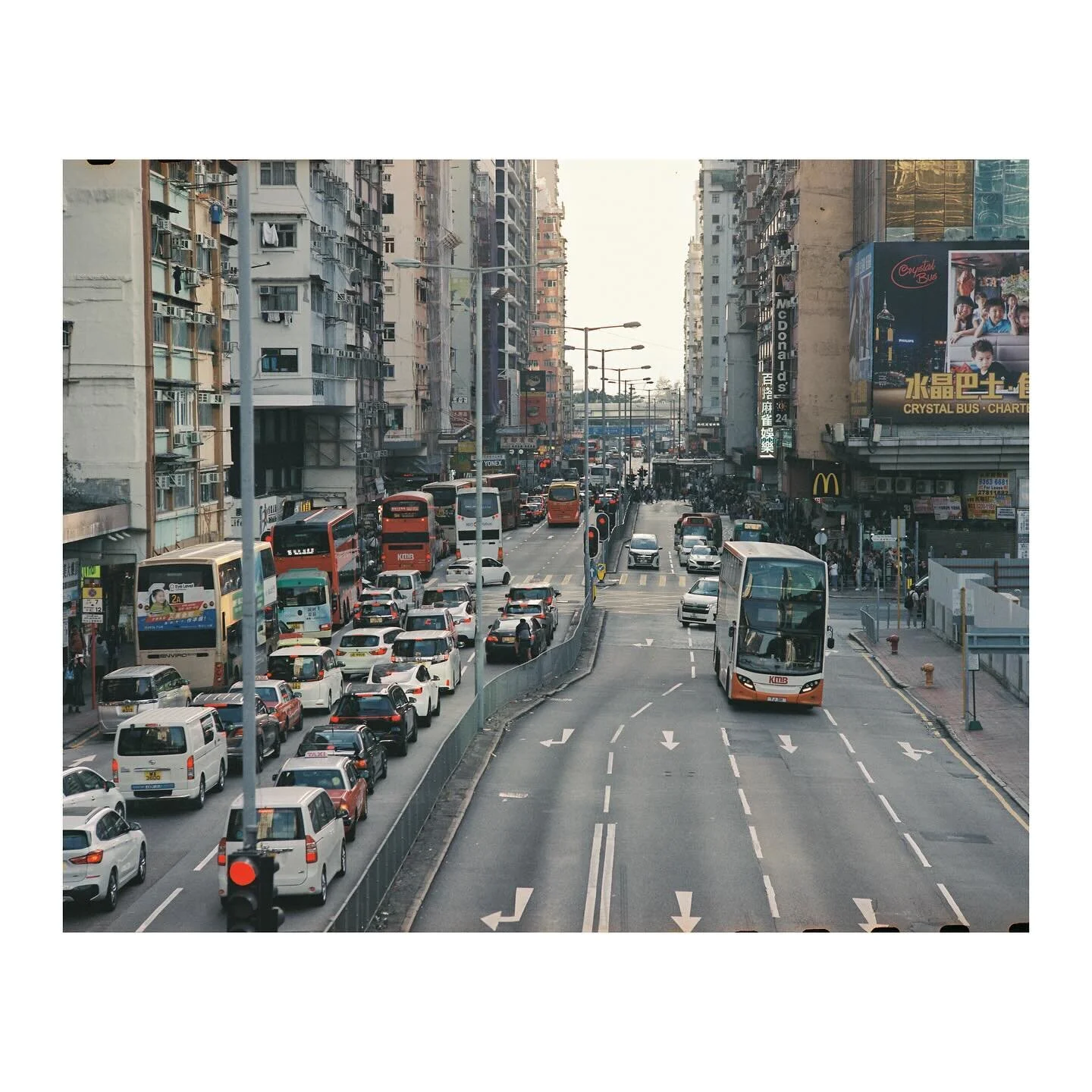 Pentax 6x7 MLU
Carl Zeiss Jena Sonnar 180mm f/2.8
Kodak Vision 3 250D
D&amp;S @photogoldenhk 

#naturephotography #filmisnotdead #filmphotography #kodak #kodakvision250d #pentax #pentax67 #mediumformat #localphotographer #hongkong