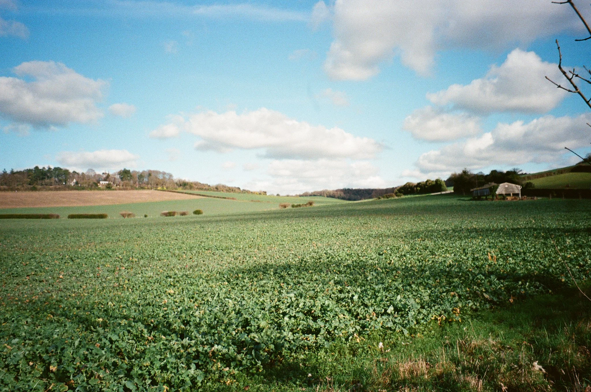 000210730010-2.jpg
