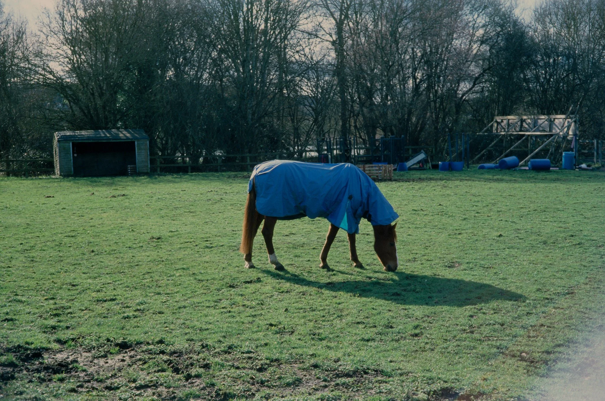 000213670024.jpg
