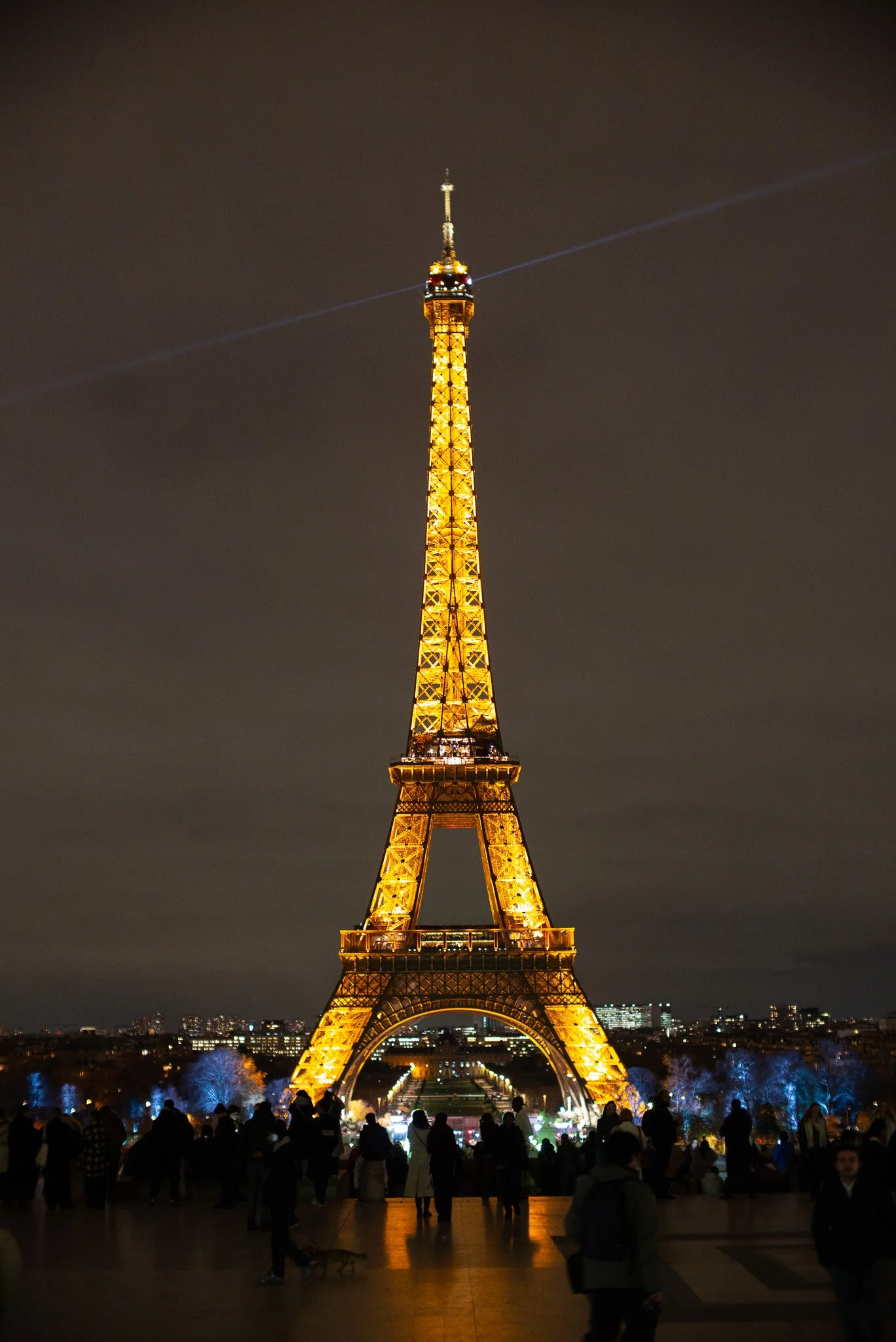 L1005999.jpg