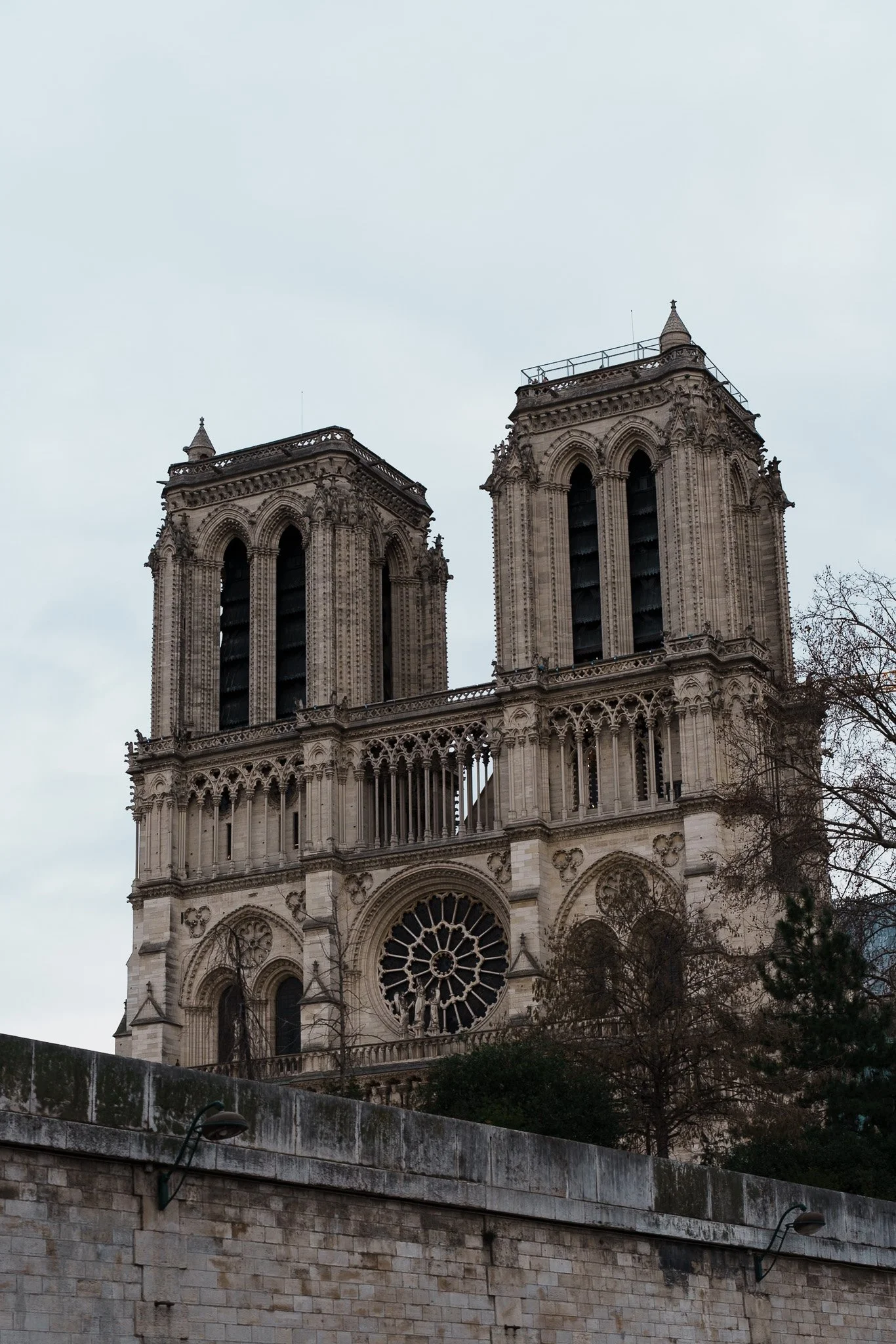 _DSC0595.jpg