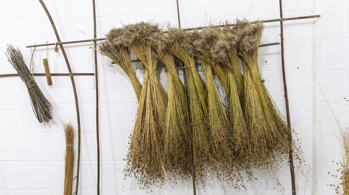 Drying flax