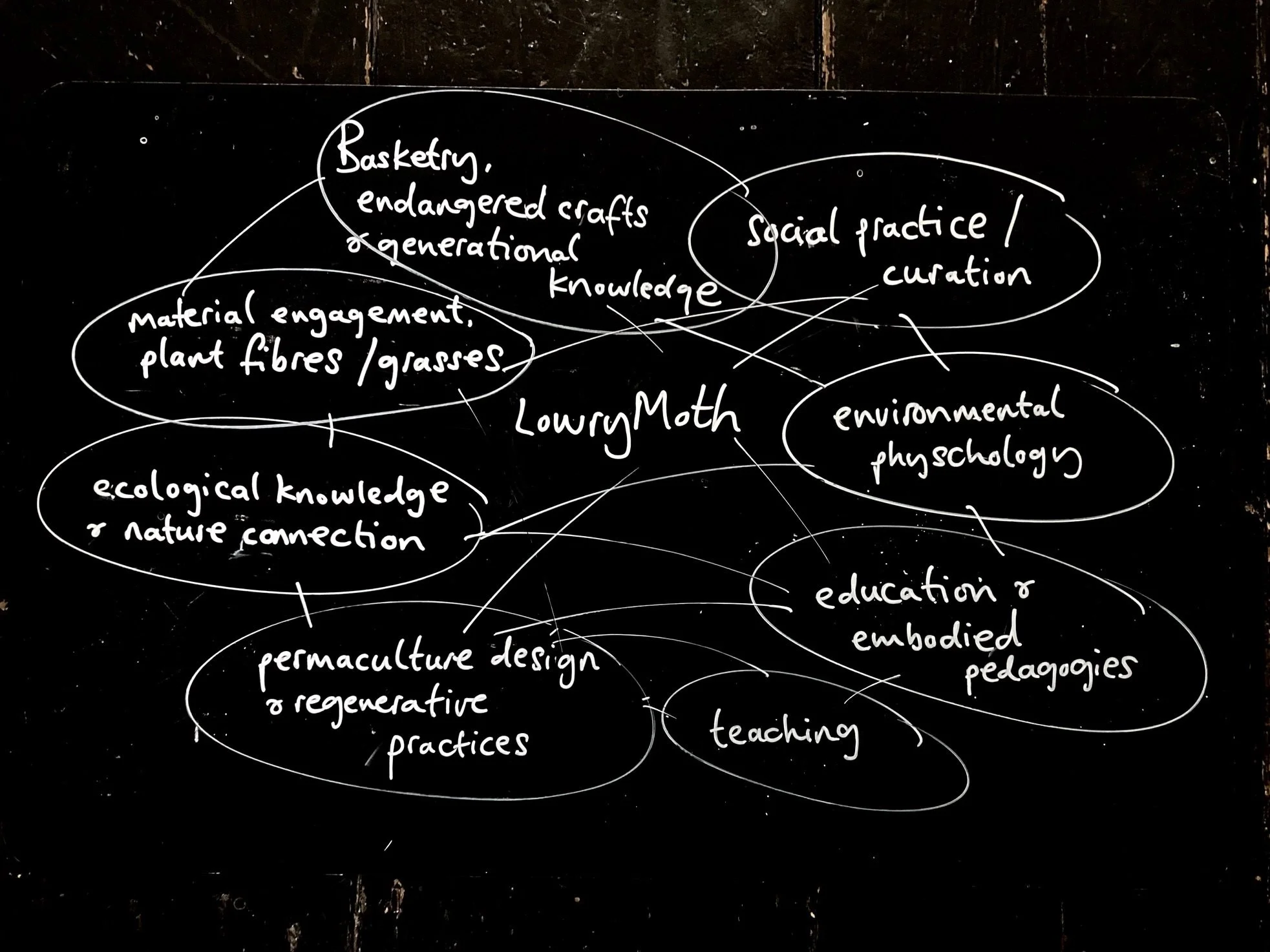 LowryMoth artist statement