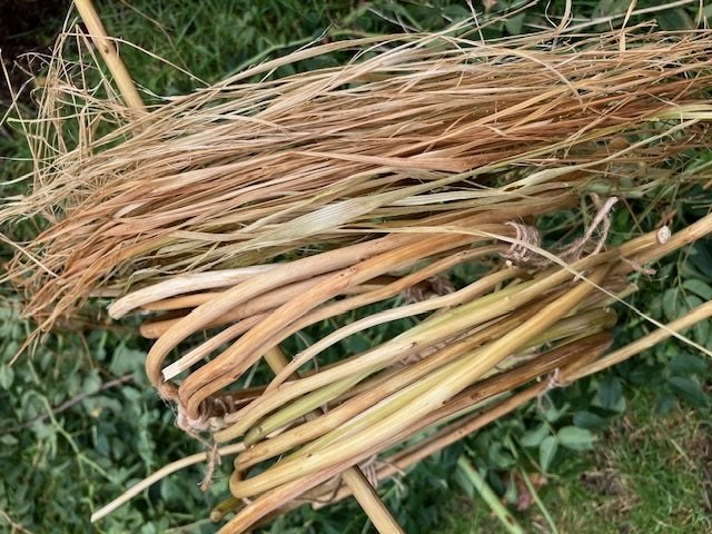 Kirsty Lowry basketry, rose fibres