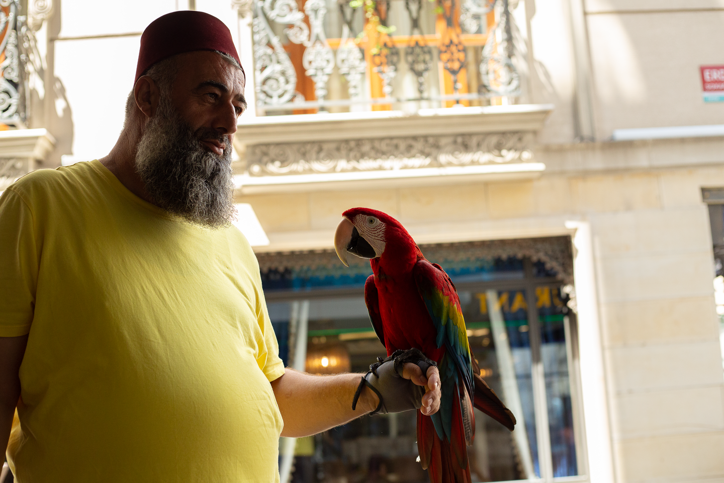 'Parrot Vendor 3'