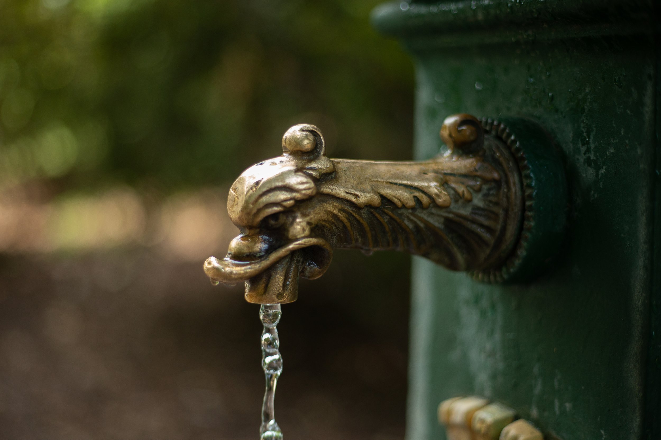 Duck Fountain