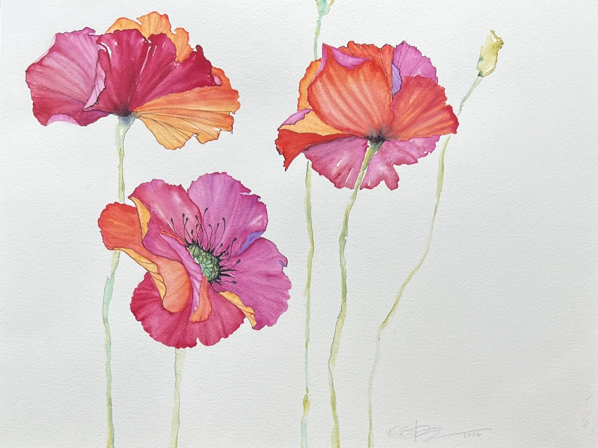 Three Poppies, 2026.  Water color on paper, 
12" x 16"  unframed.

$250.00
