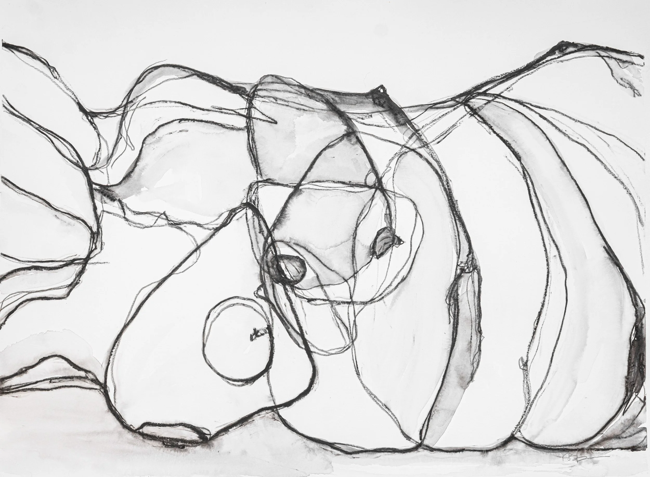 Maude, 2026. Water soluble graphite on paper- 22" x 30"

$250.00