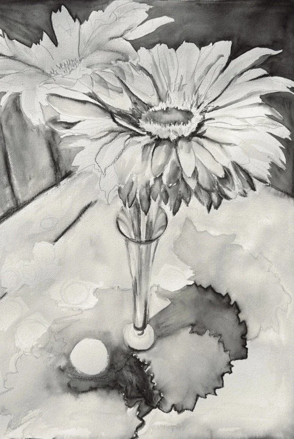 Gerber Contrast, 2023. Water soluble graphite on paper, 30"x22"

$250.00